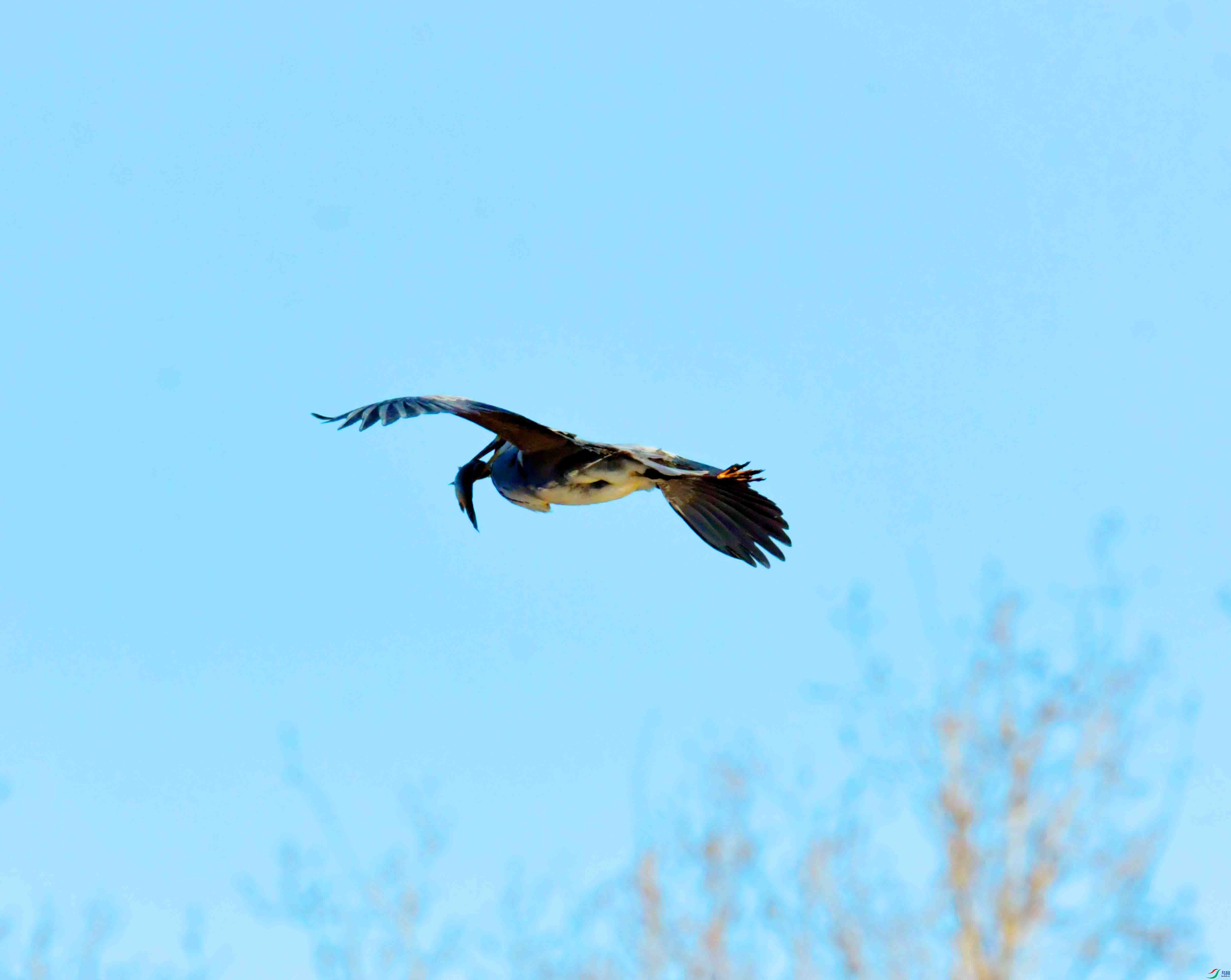 DSC_9211.JPG