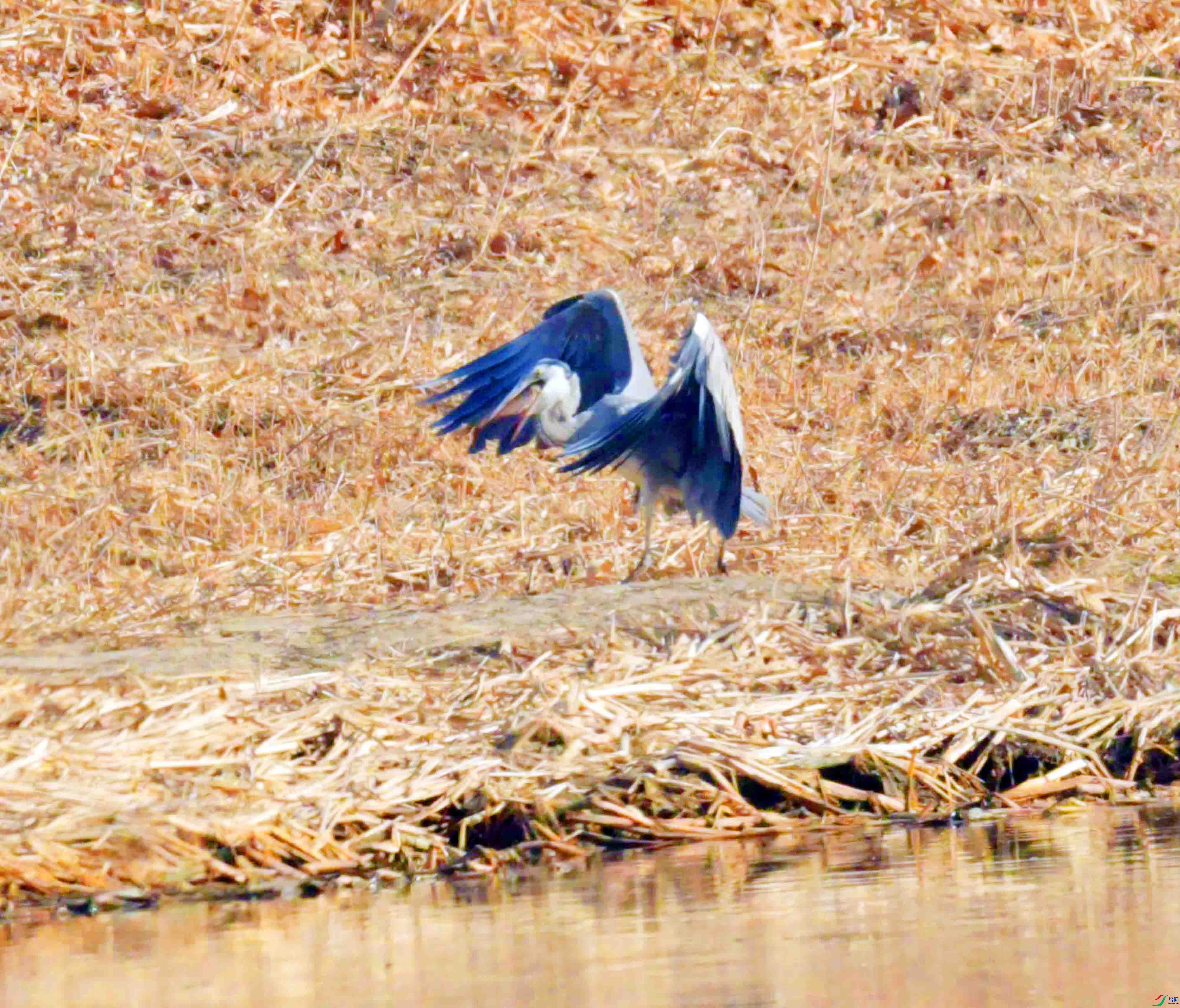 DSC_9345.JPG