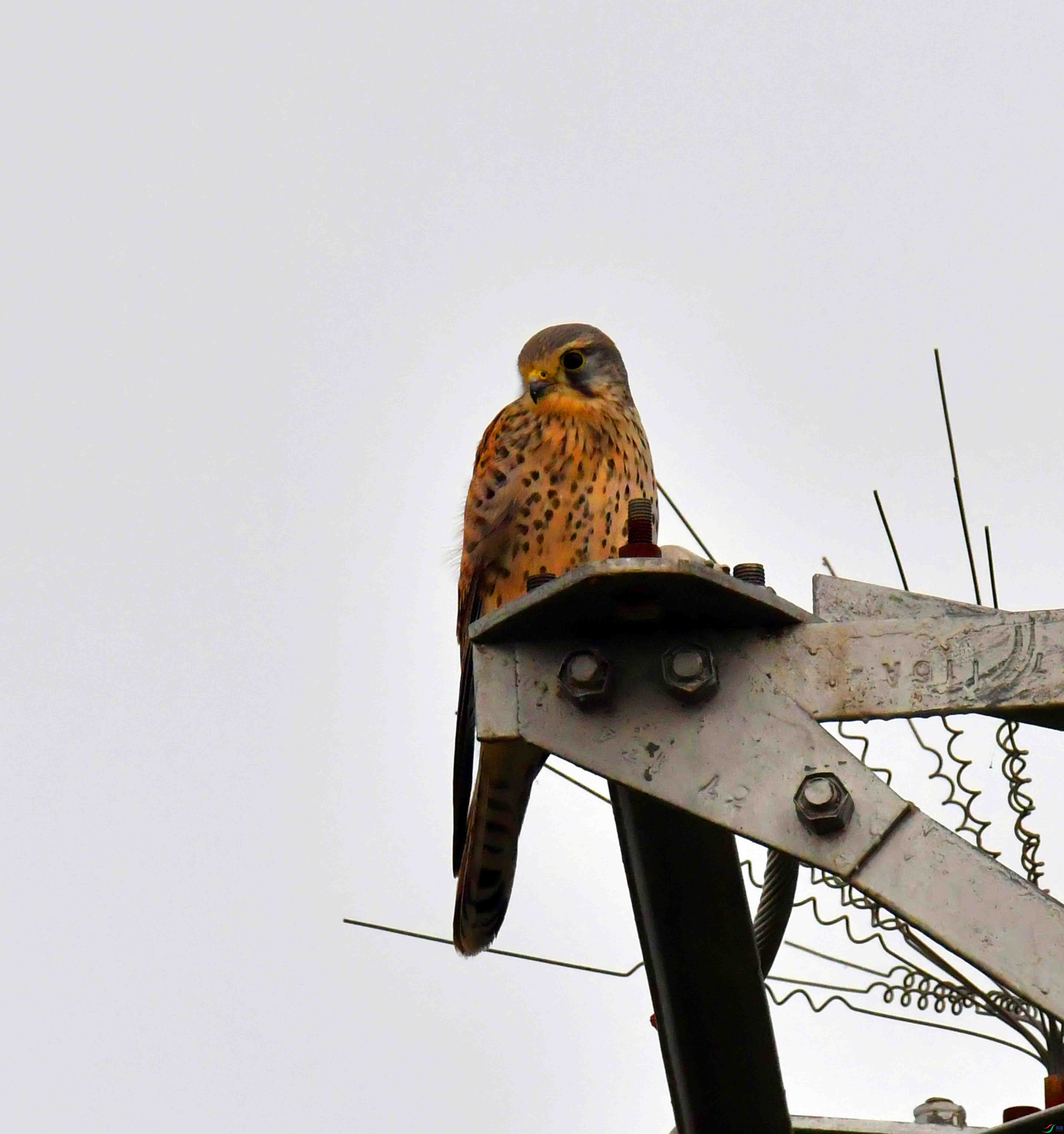 DSC_0586.JPG