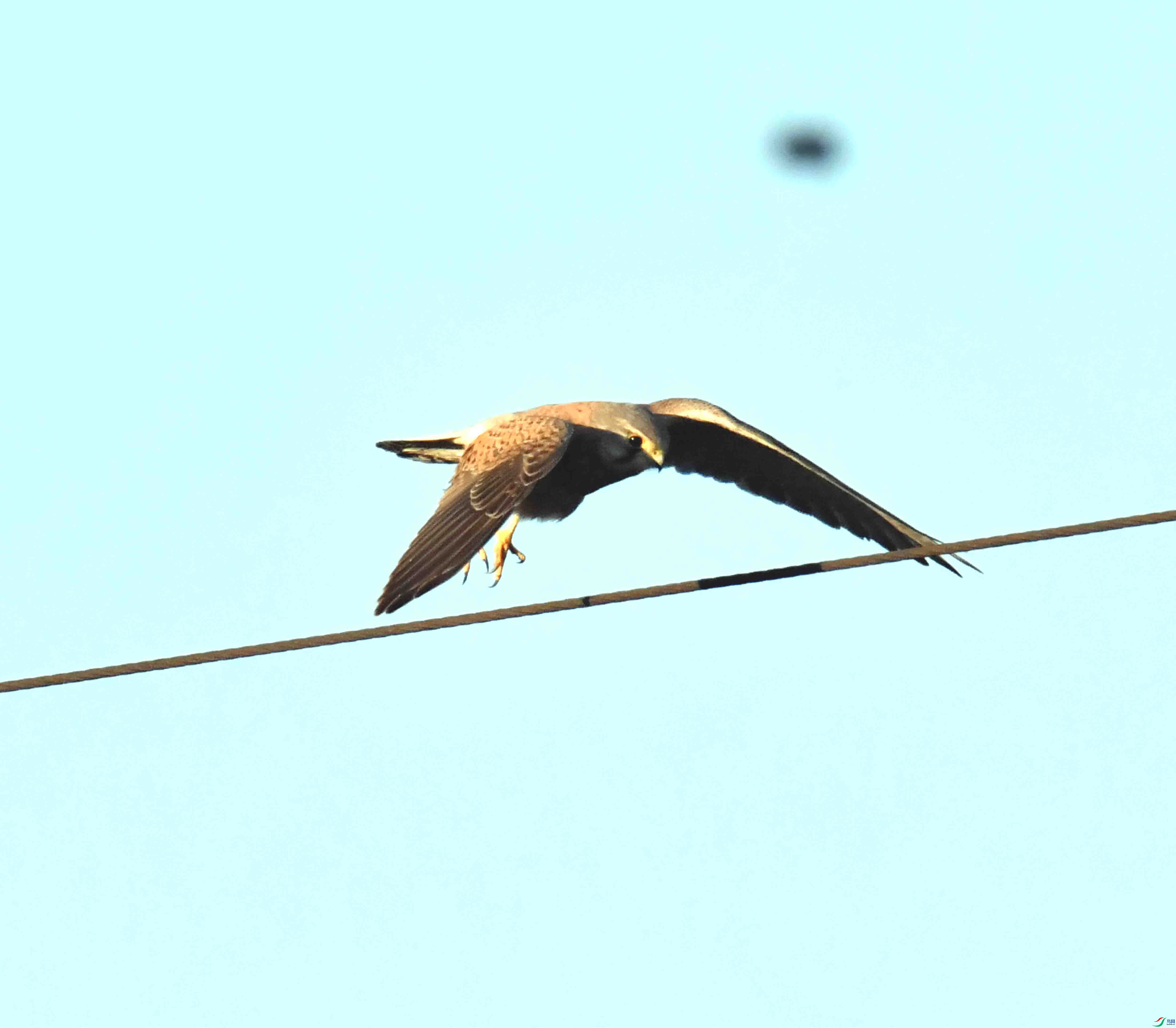 DSC_4116.JPG