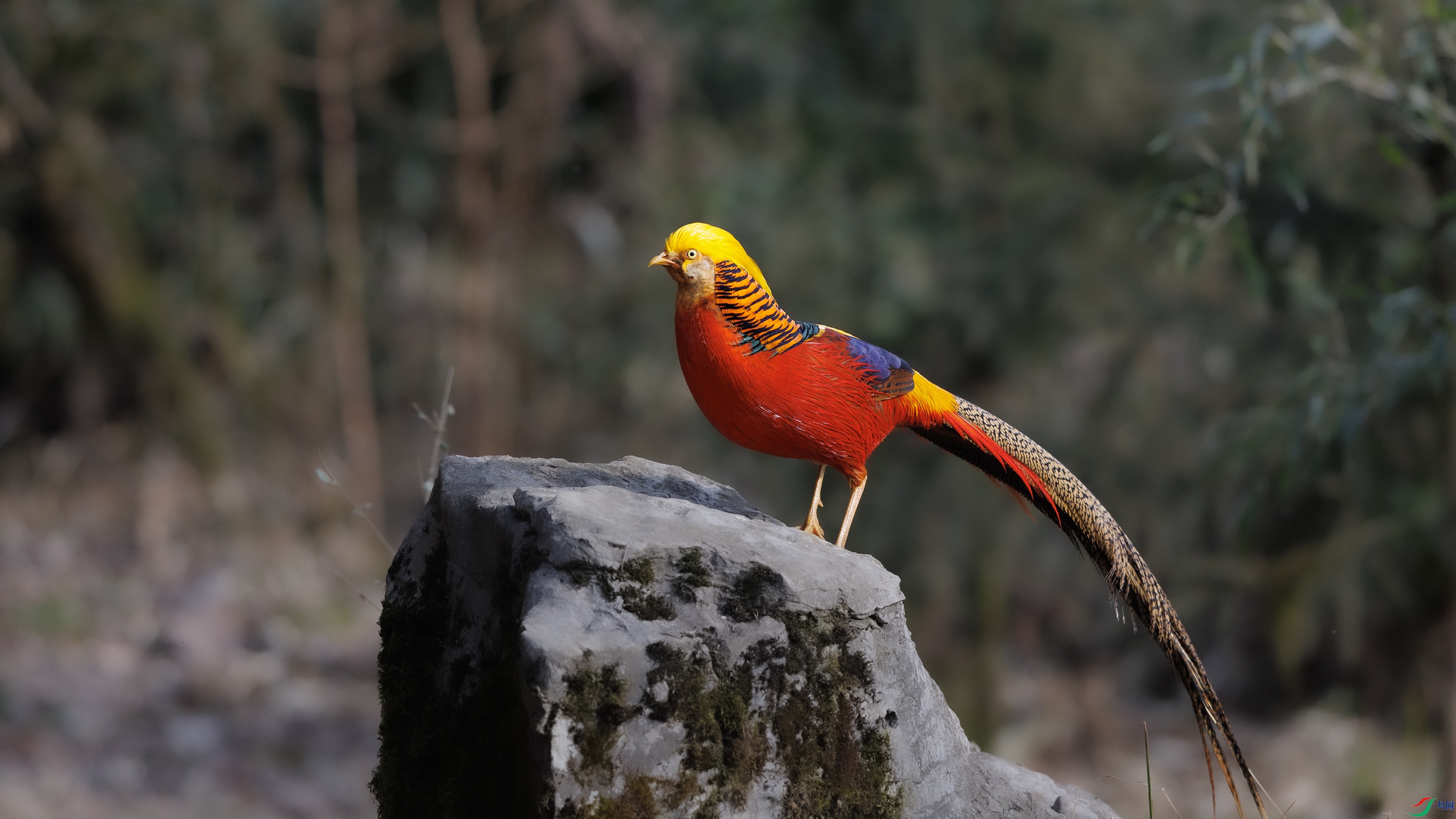 _O7A9981 ����44444.jpg