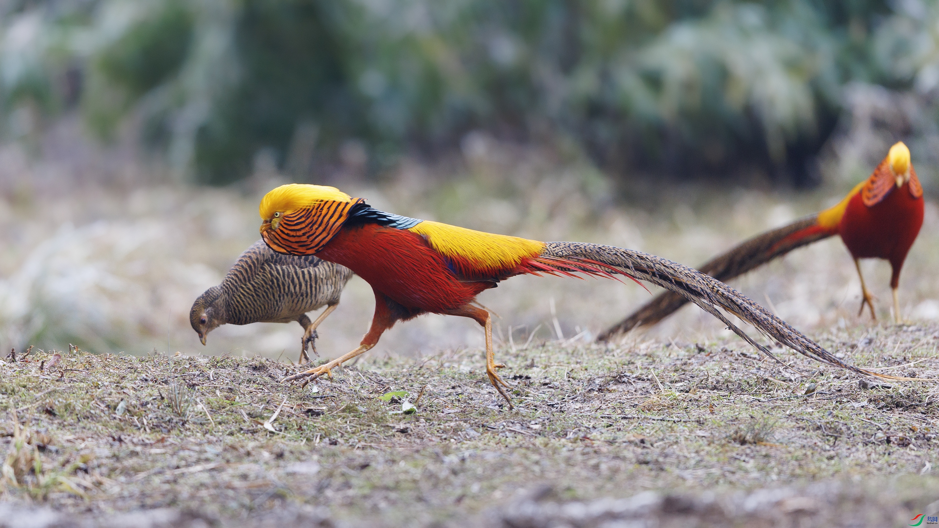 _O7A9329 ����4444.jpg