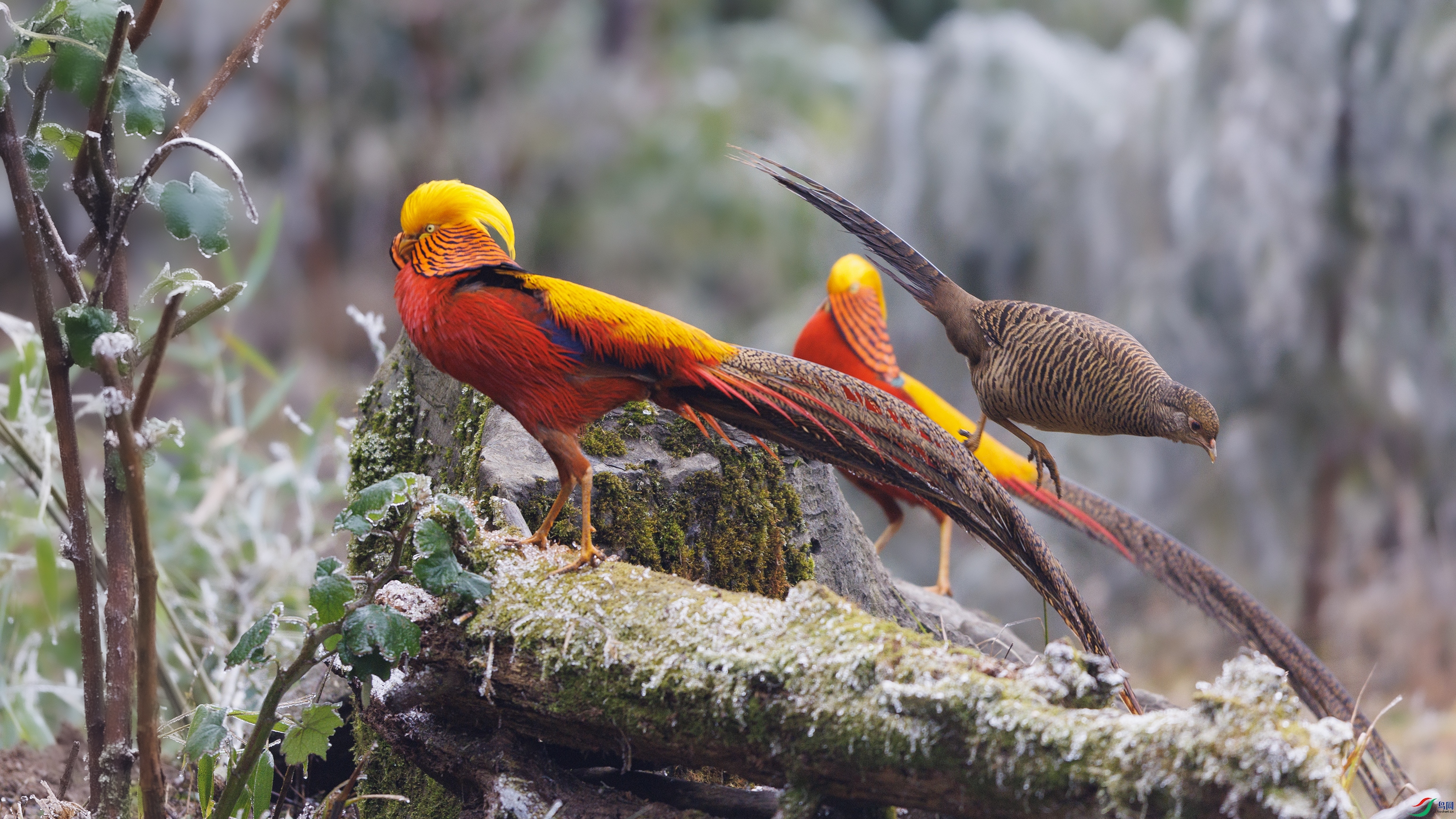 _O7A9314 ����4444.jpg