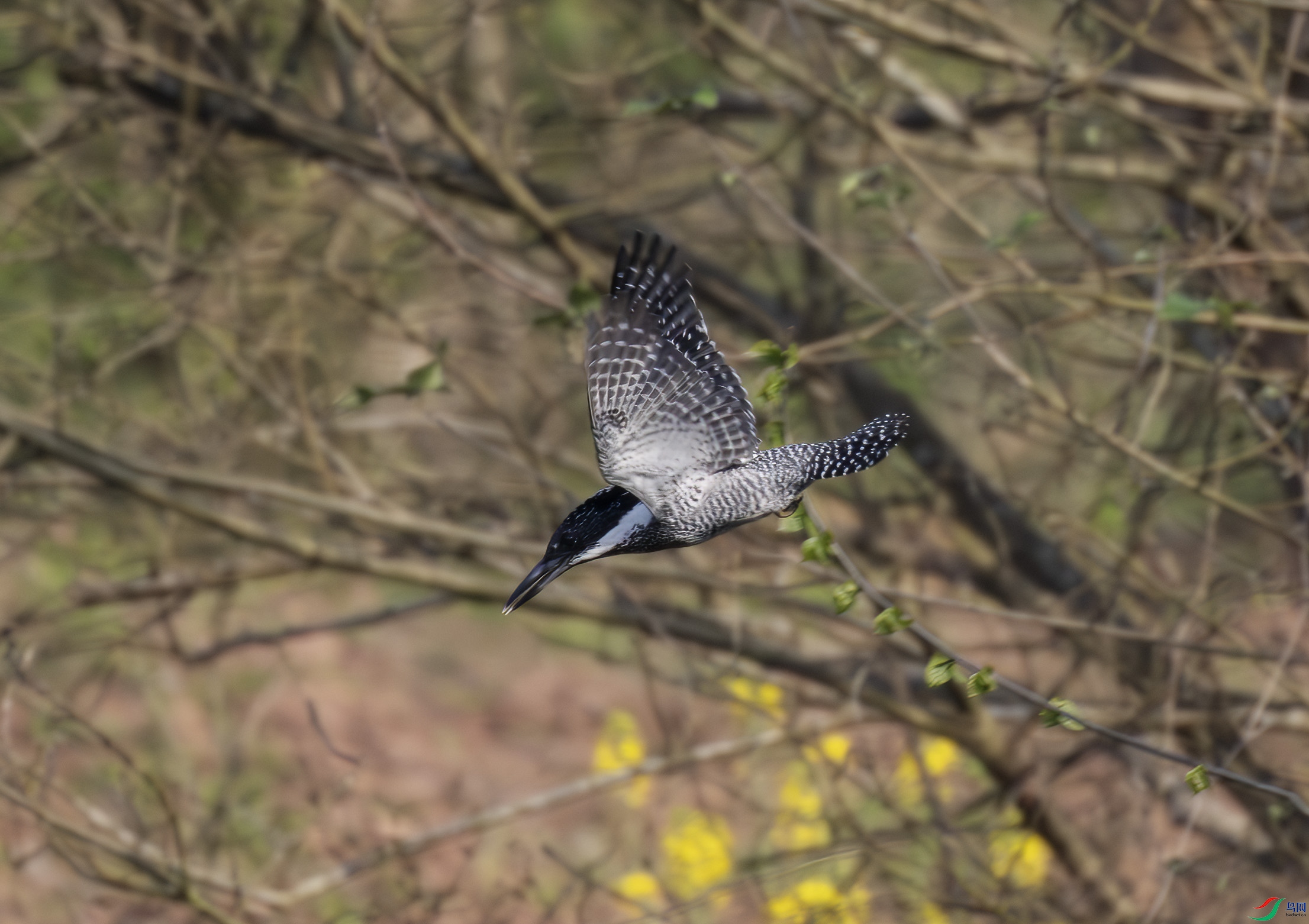 2I1A8435-����ǿ-NR ����.jpg