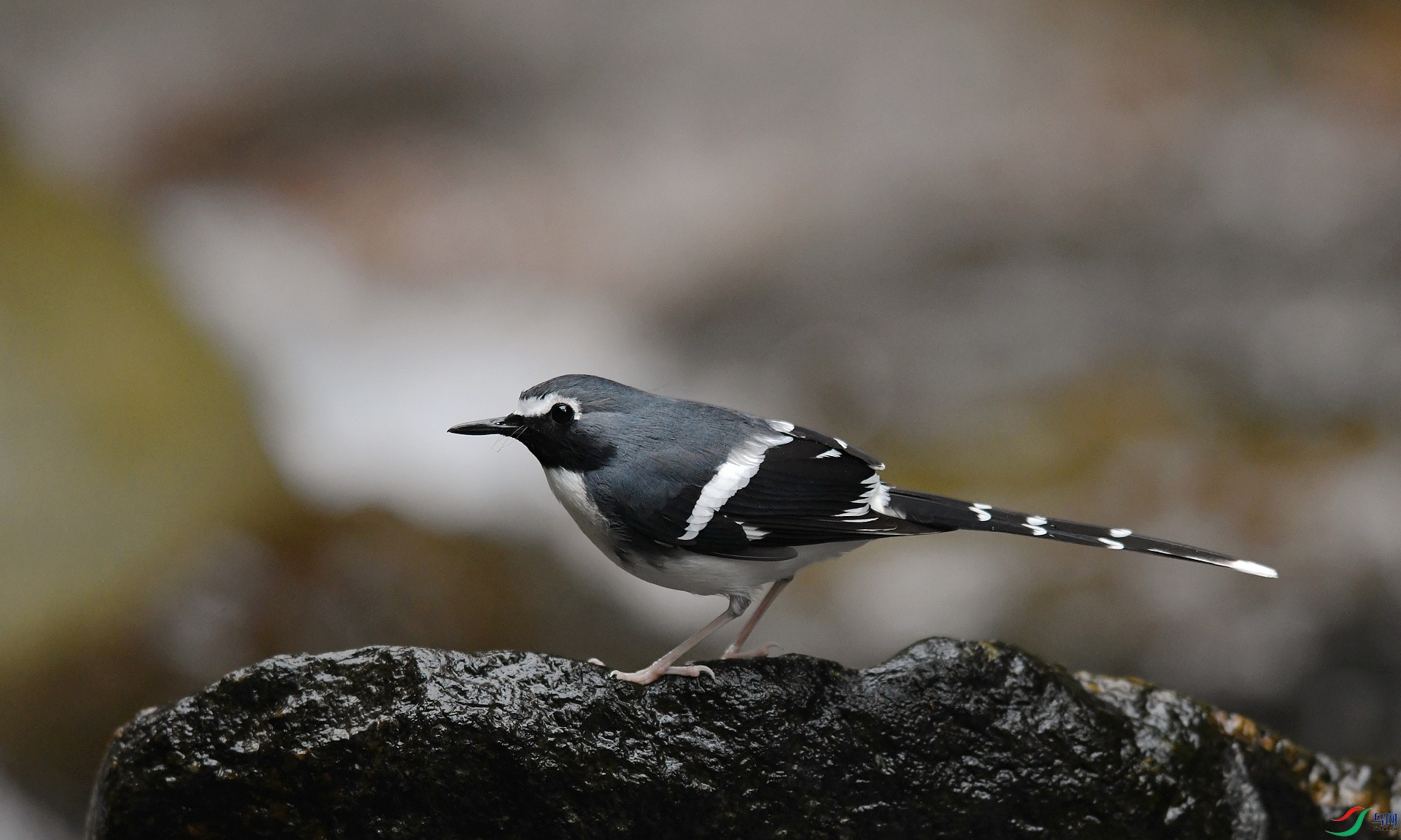 DSC_2942.jpg