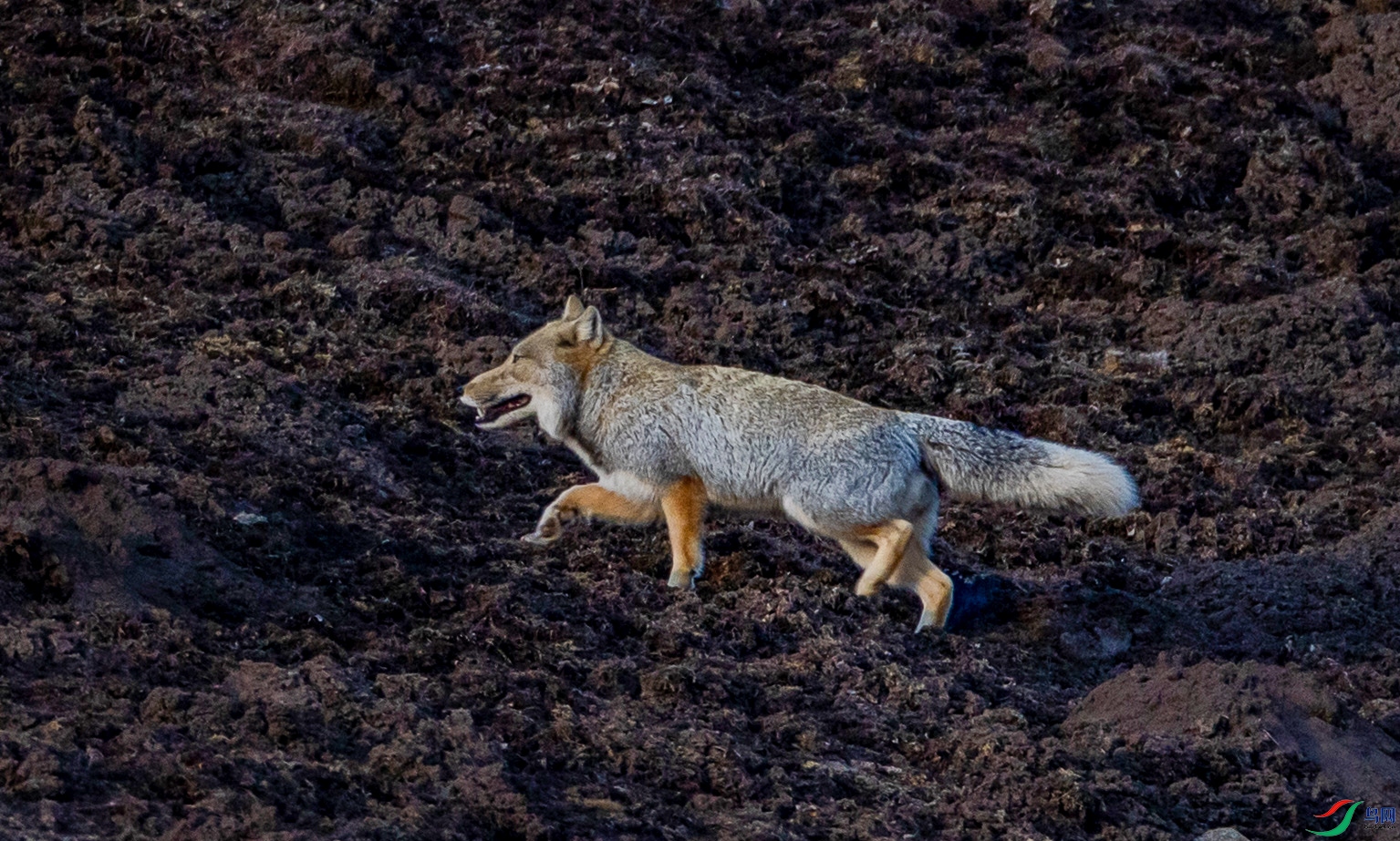 �غ���50 ����.jpg