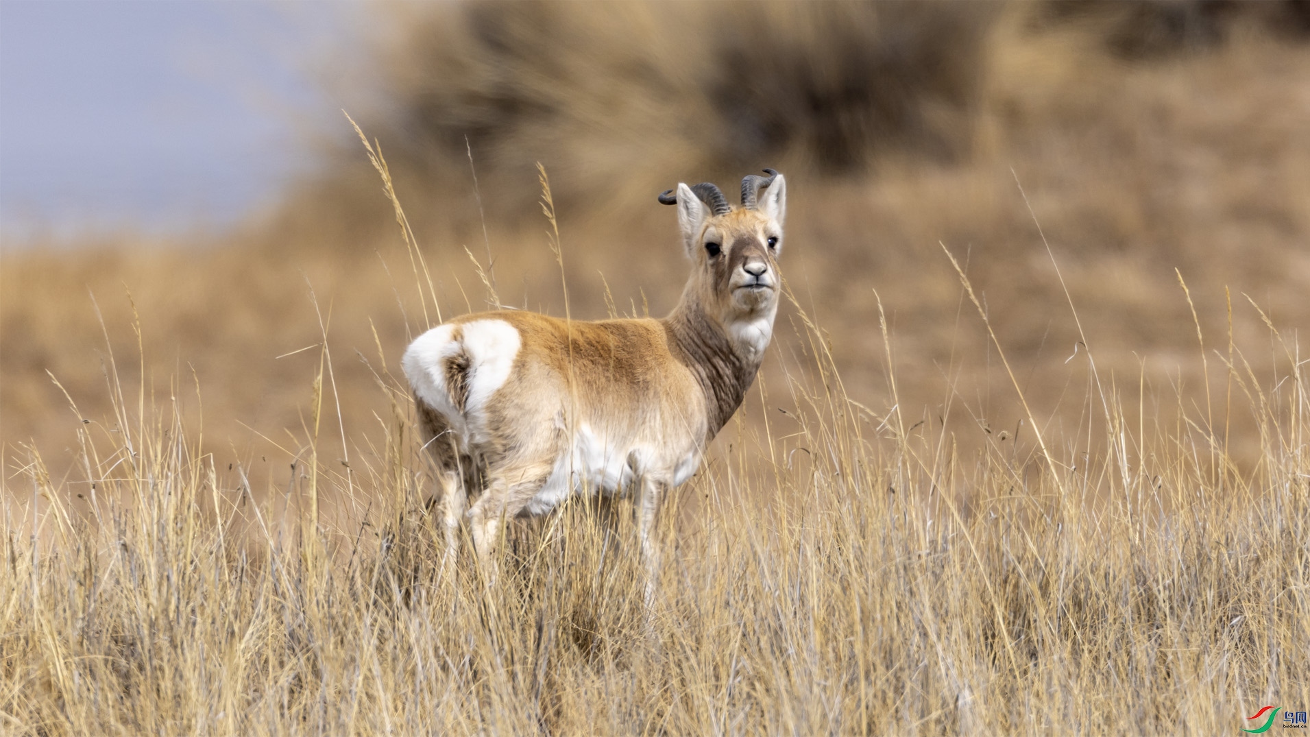 ����ԭ��05 ����.jpg