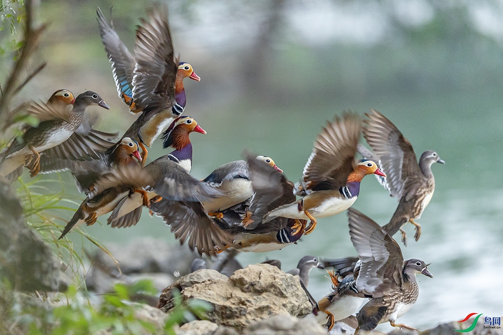 0F7A9051 ����.jpg