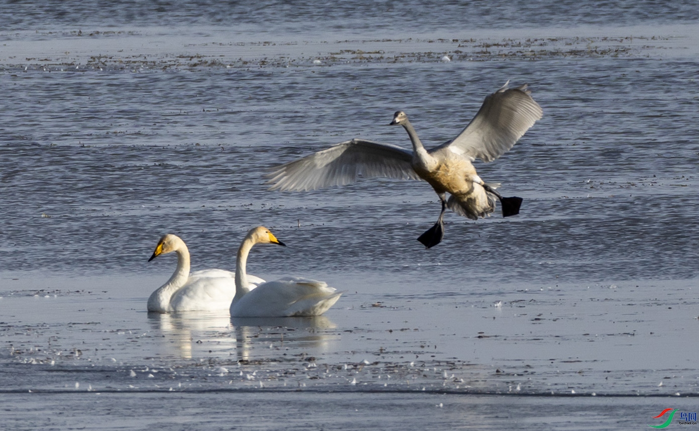 �����57 ����.jpg