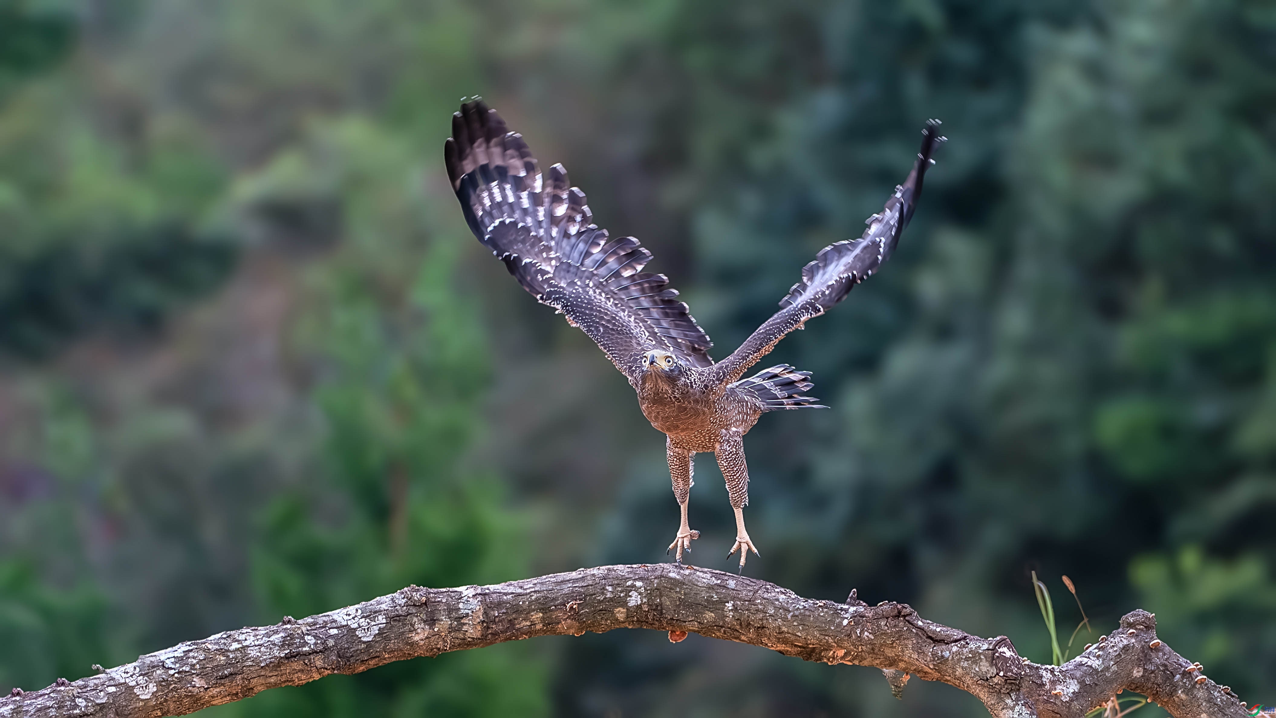 _DSC9282-����ǿ-NR ���� 2.jpg