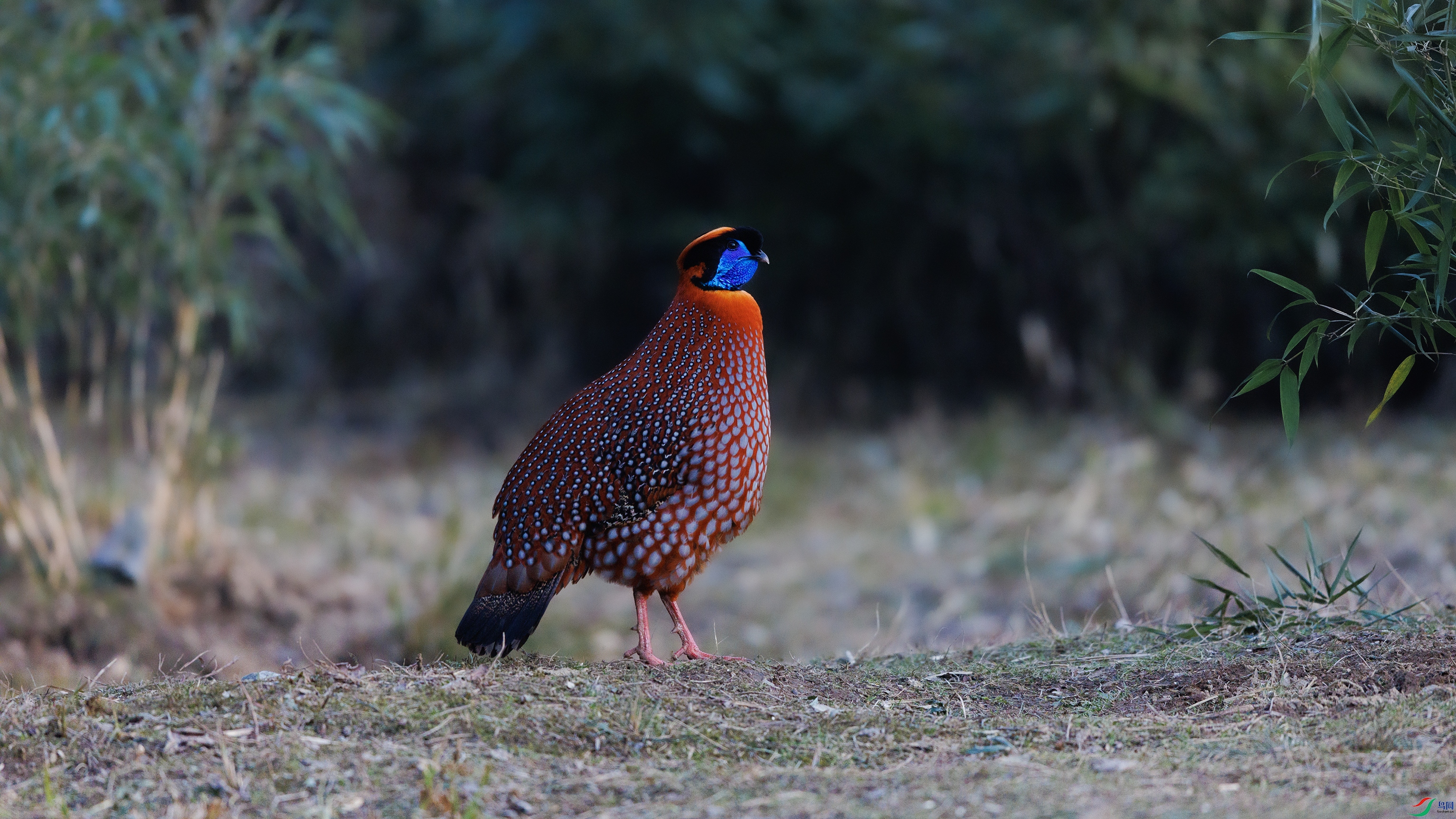 _O7A0656 ����444.jpg