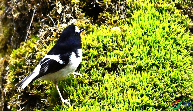 DSC_2273.JPG