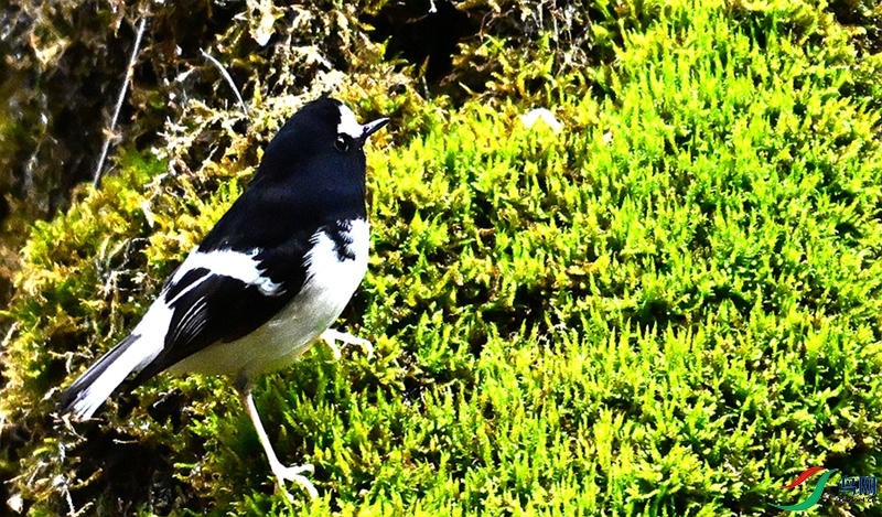 DSC_2275.JPG