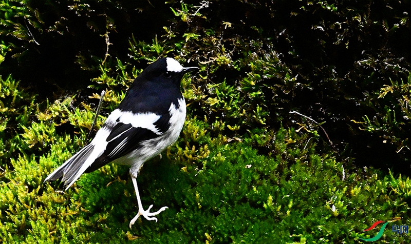 DSC_5266.JPG