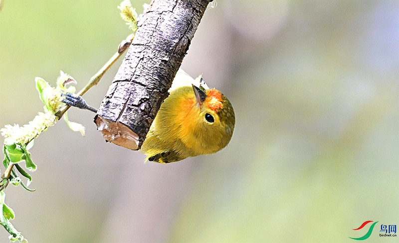 DSC_1582.JPG