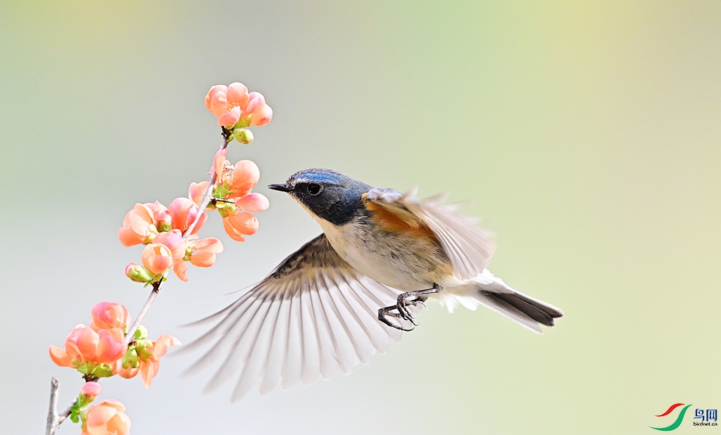 DSC_6127 - ����.JPG