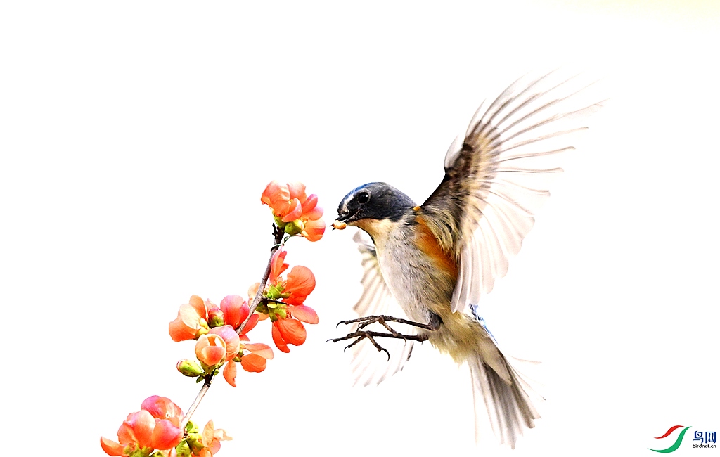 DSC_6370 - ����.JPG