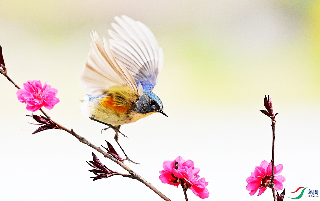 DSC_7196 - ����.JPG