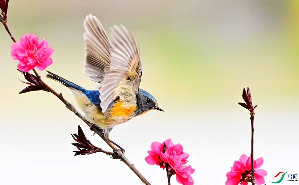 DSC_7199 - ����.JPG