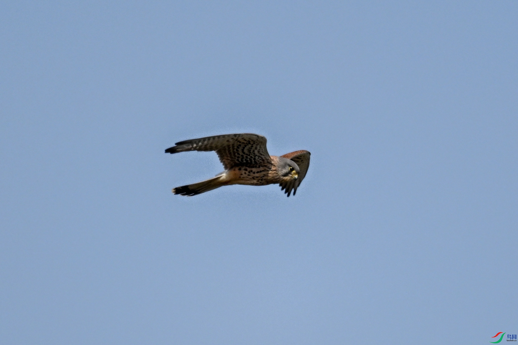 DSC_5873.JPG