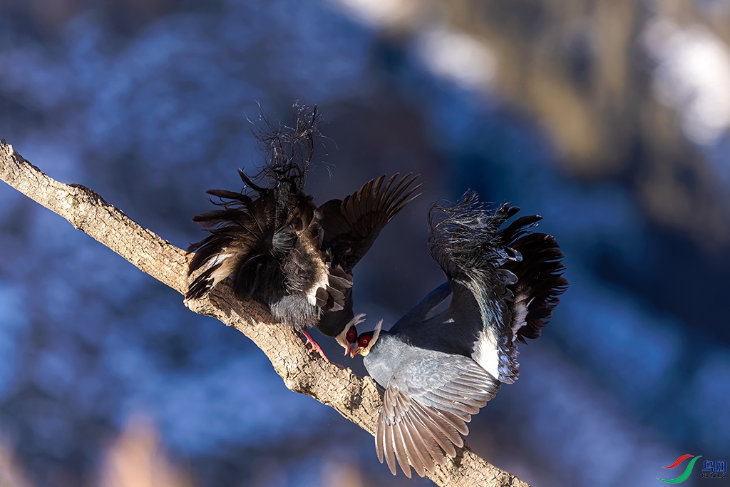 gssnR3241231 (1306)_DxO.jpg