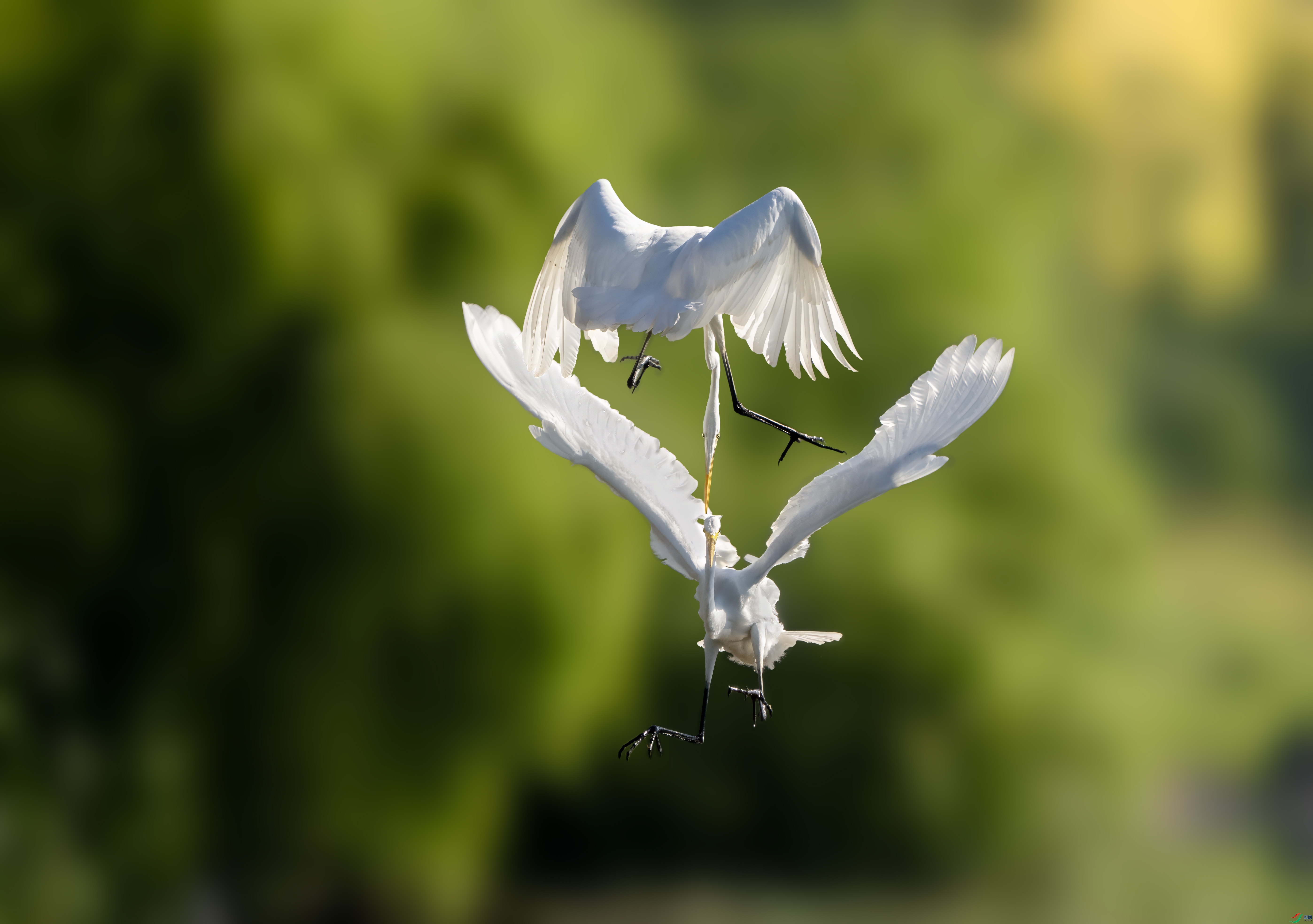 DSC07314 ����.jpg