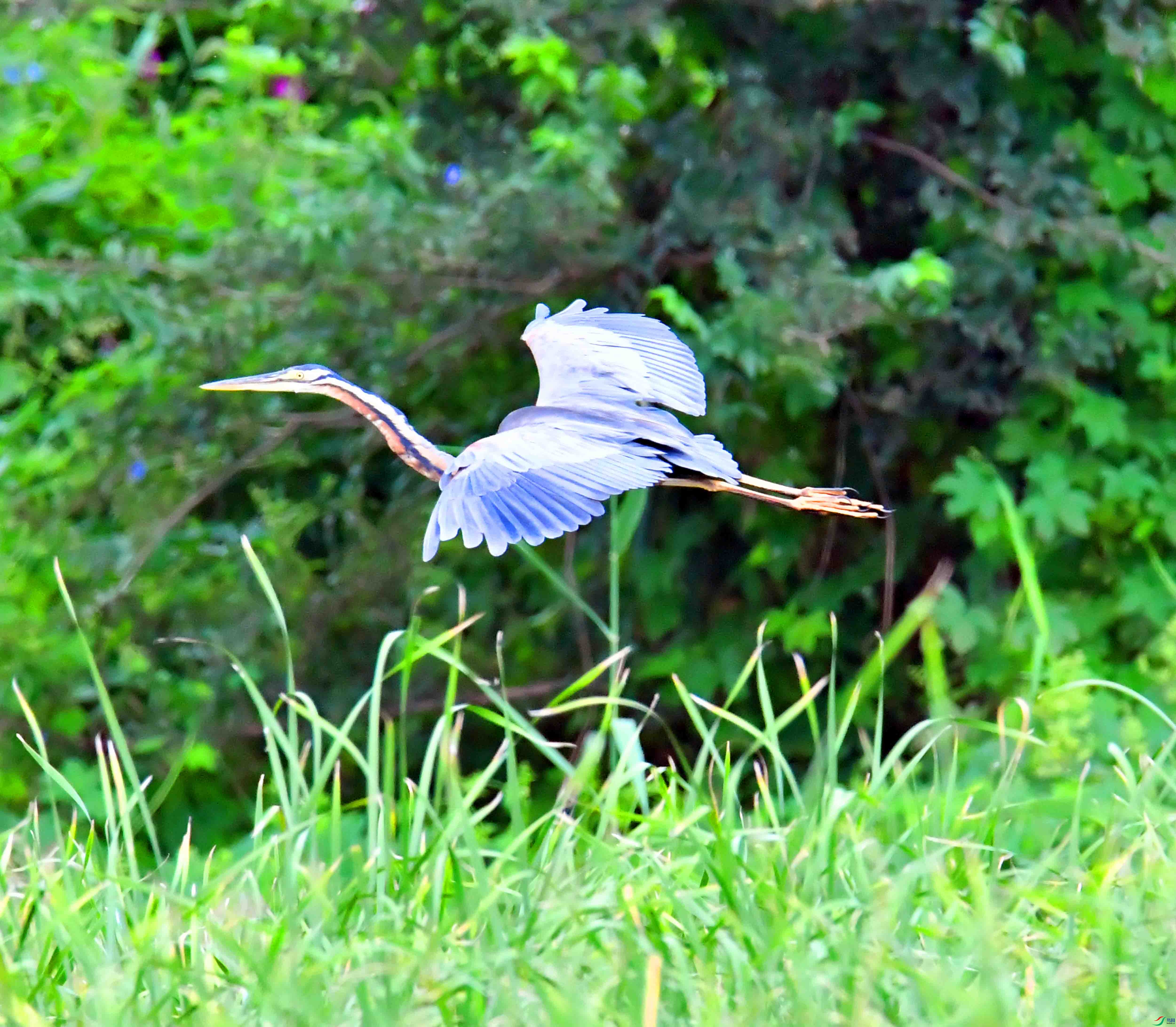 DSC_7882.JPG