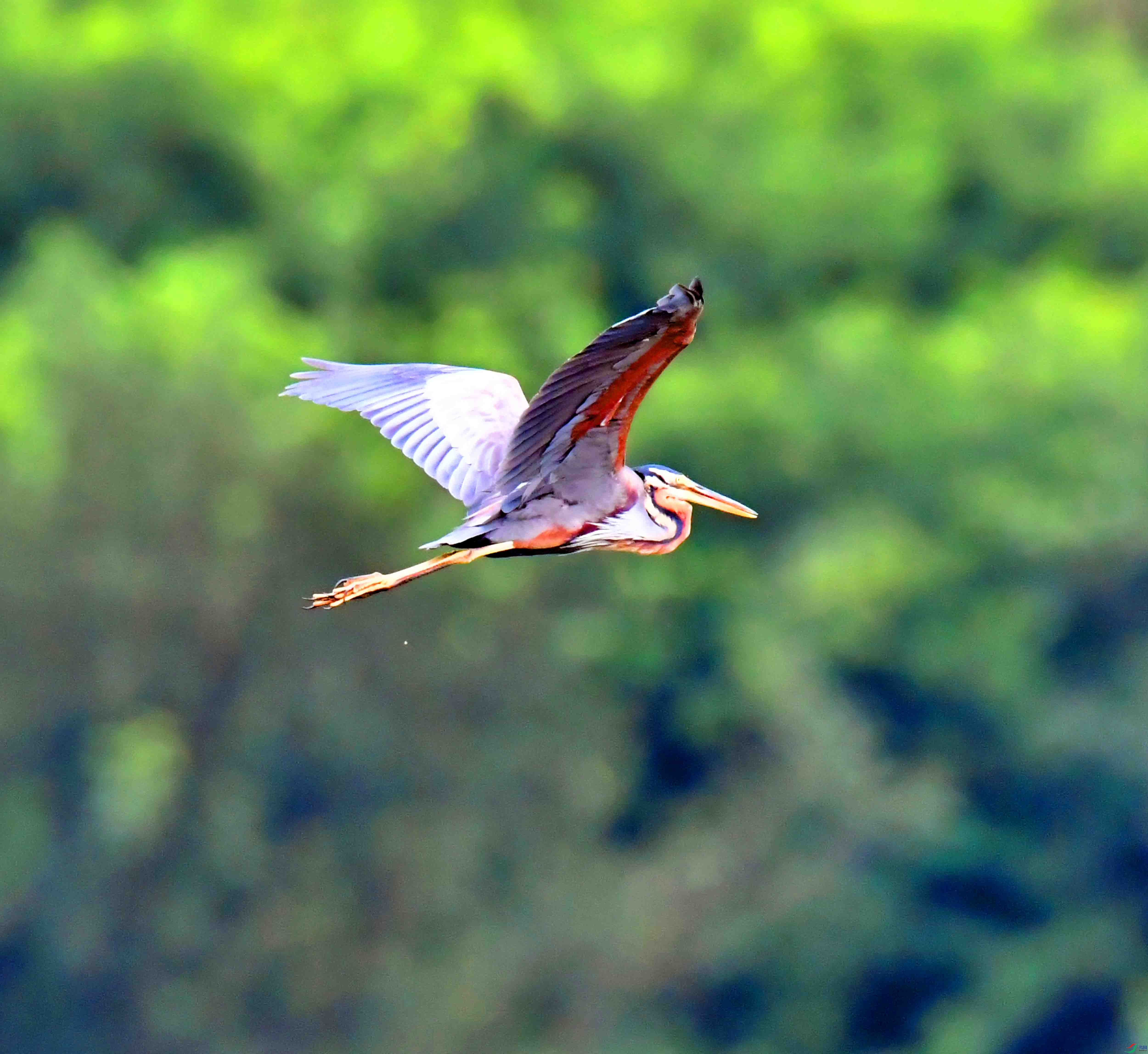 DSC_8025.JPG