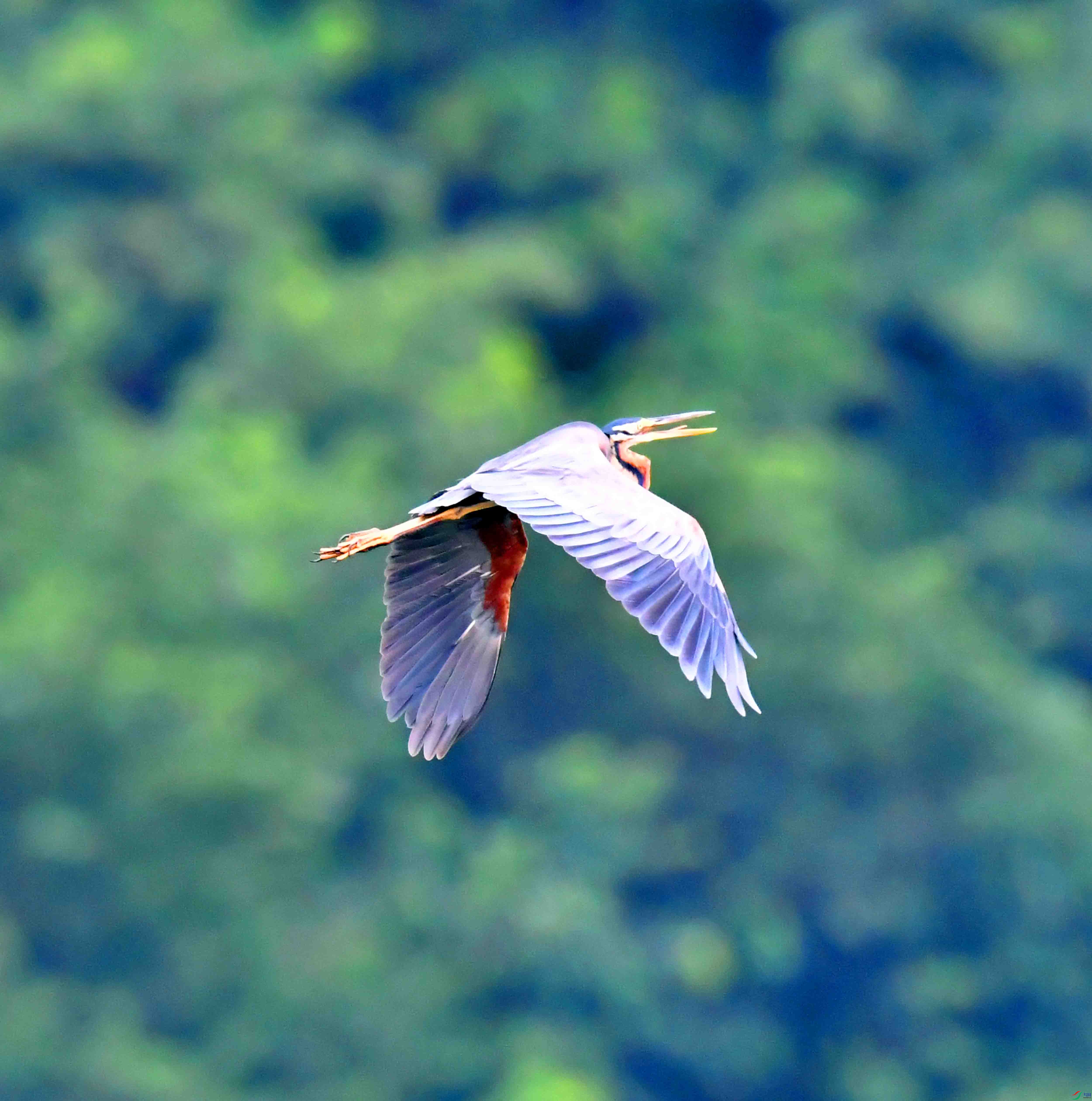 DSC_8027.JPG