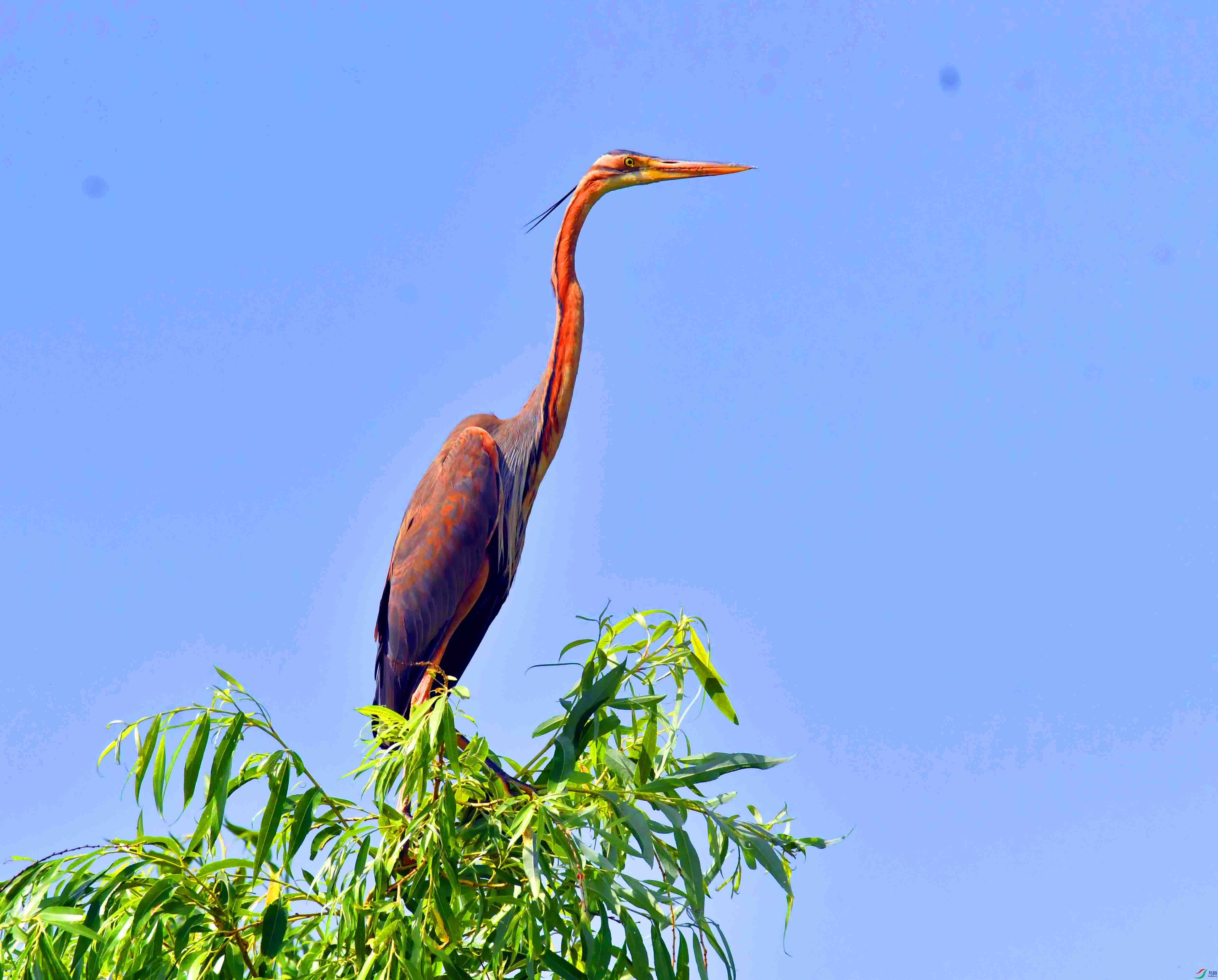 DSC_9939.JPG