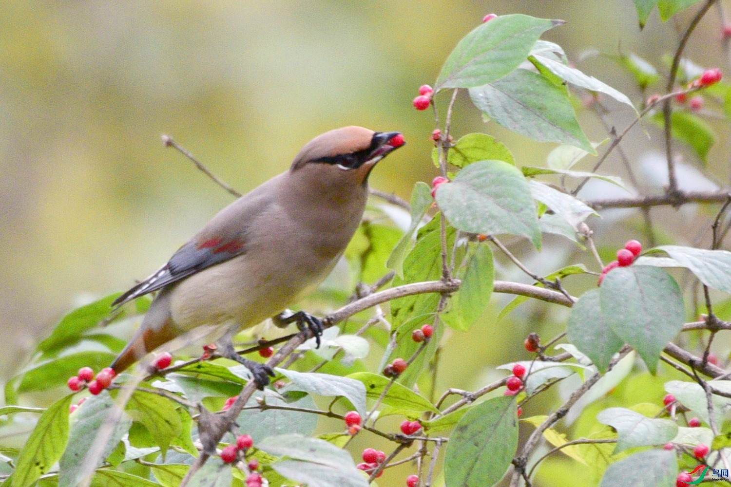 DSC_5855.JPG