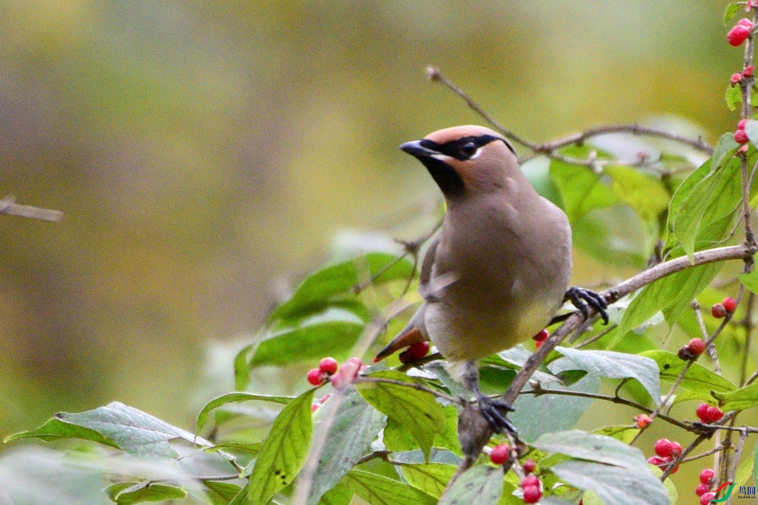 DSC_5862.JPG