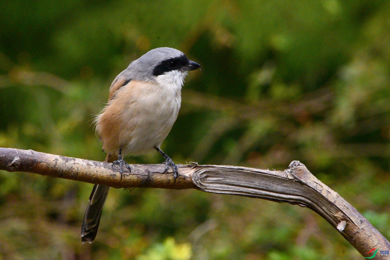 DSC_5153.JPG