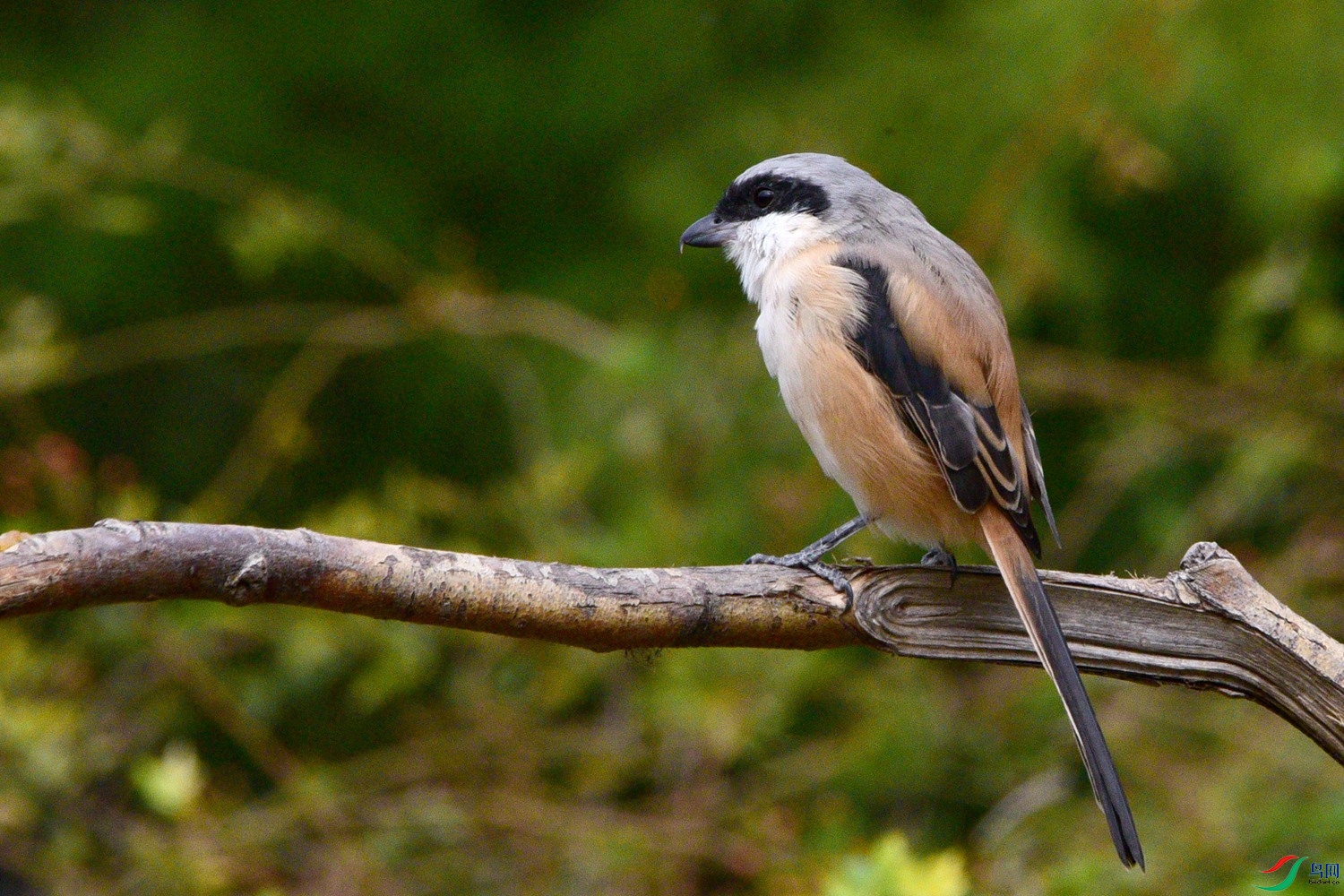 DSC_5148.JPG