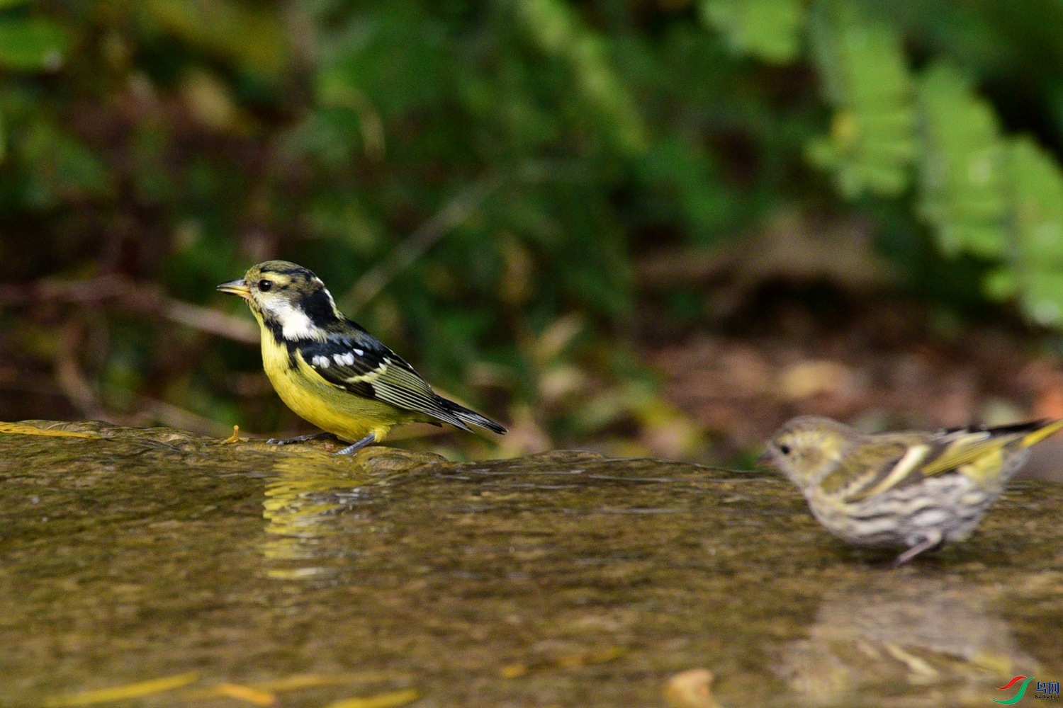 DSC_6378.JPG