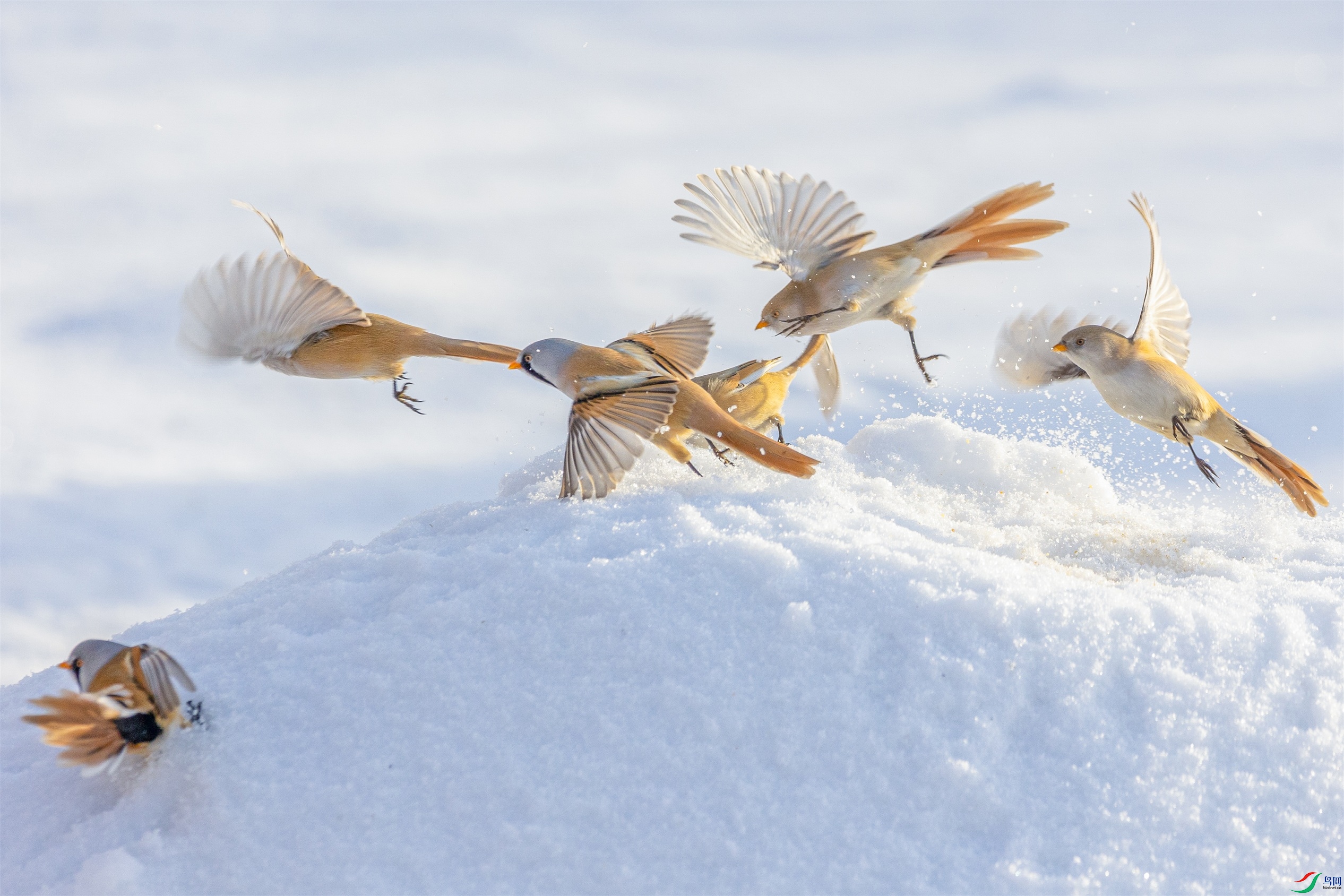 1K3A8362 ����1.jpg