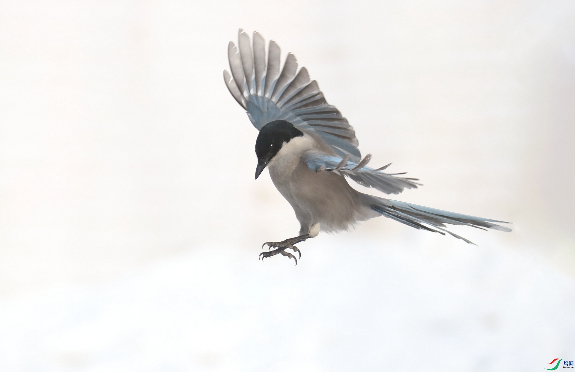 0G1A6600 ����.jpg