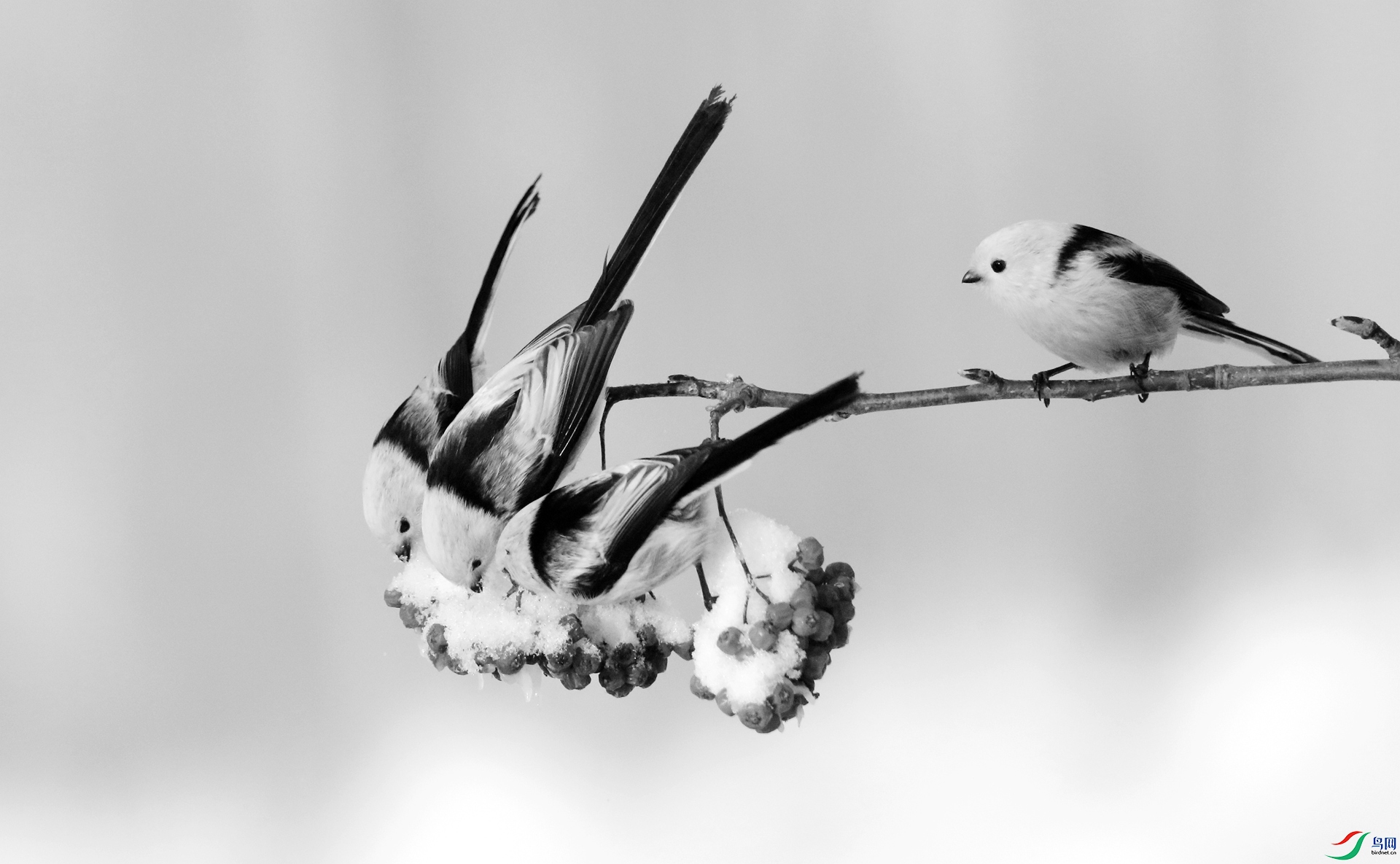 0G1A6584.JPG