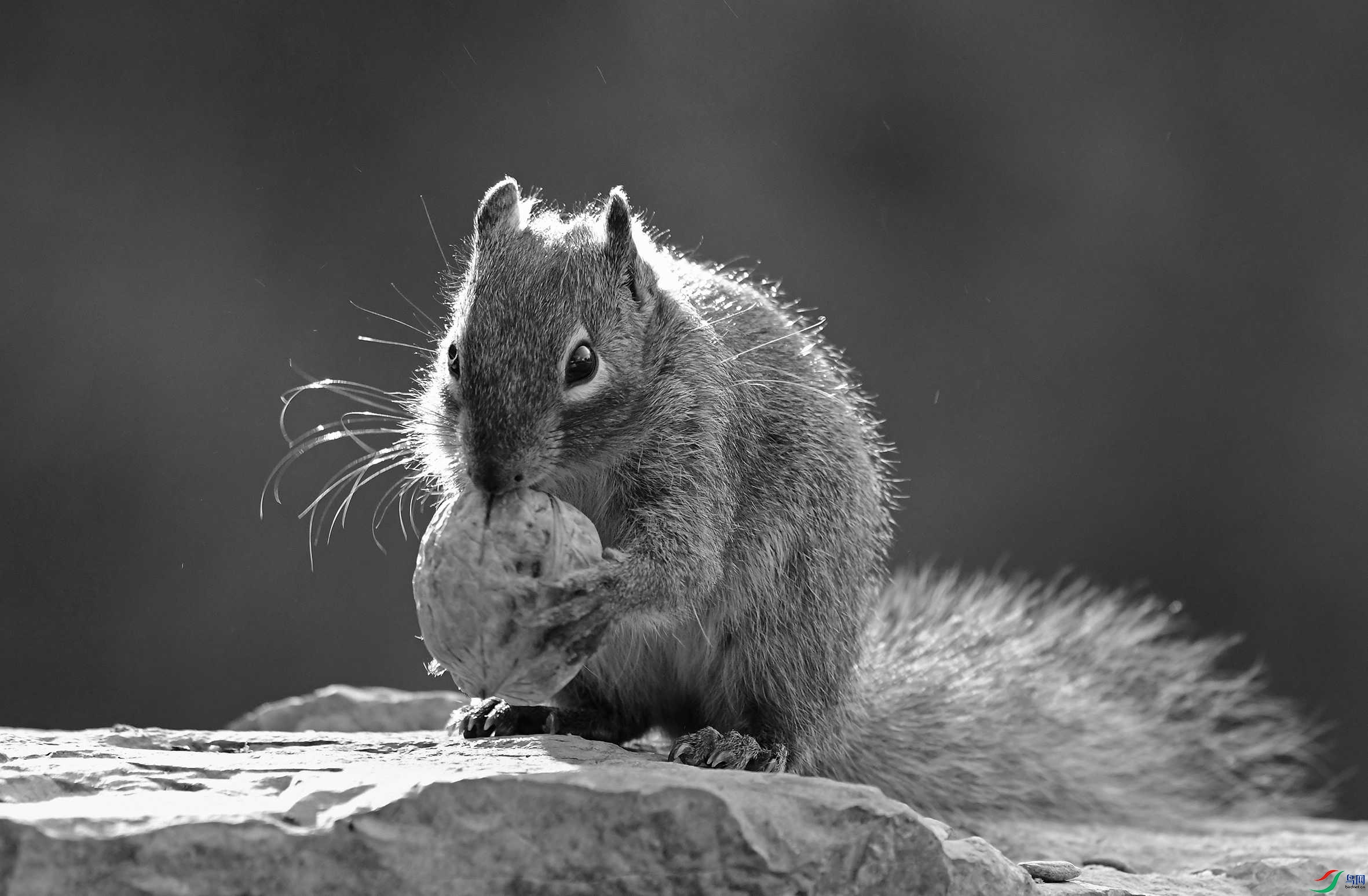DSC_3170.JPG