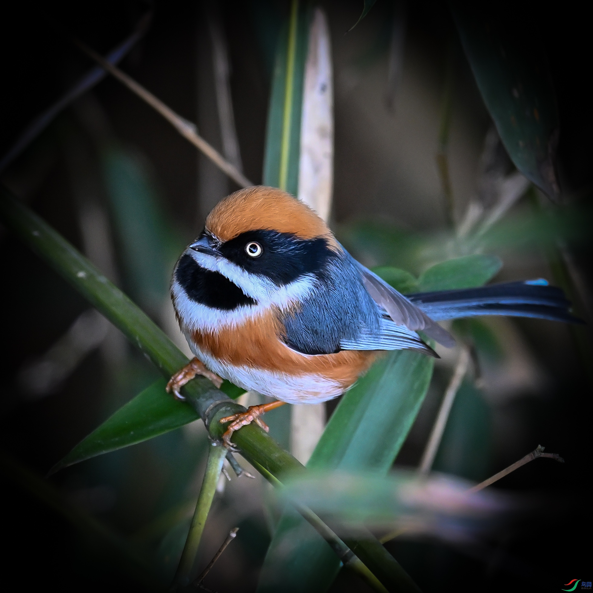 DSC_5261.jpg