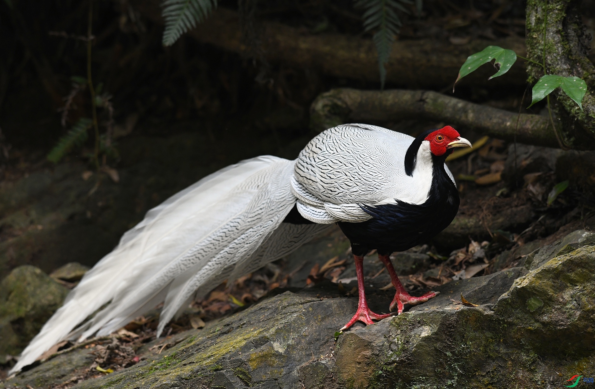 DSC_2564.jpg