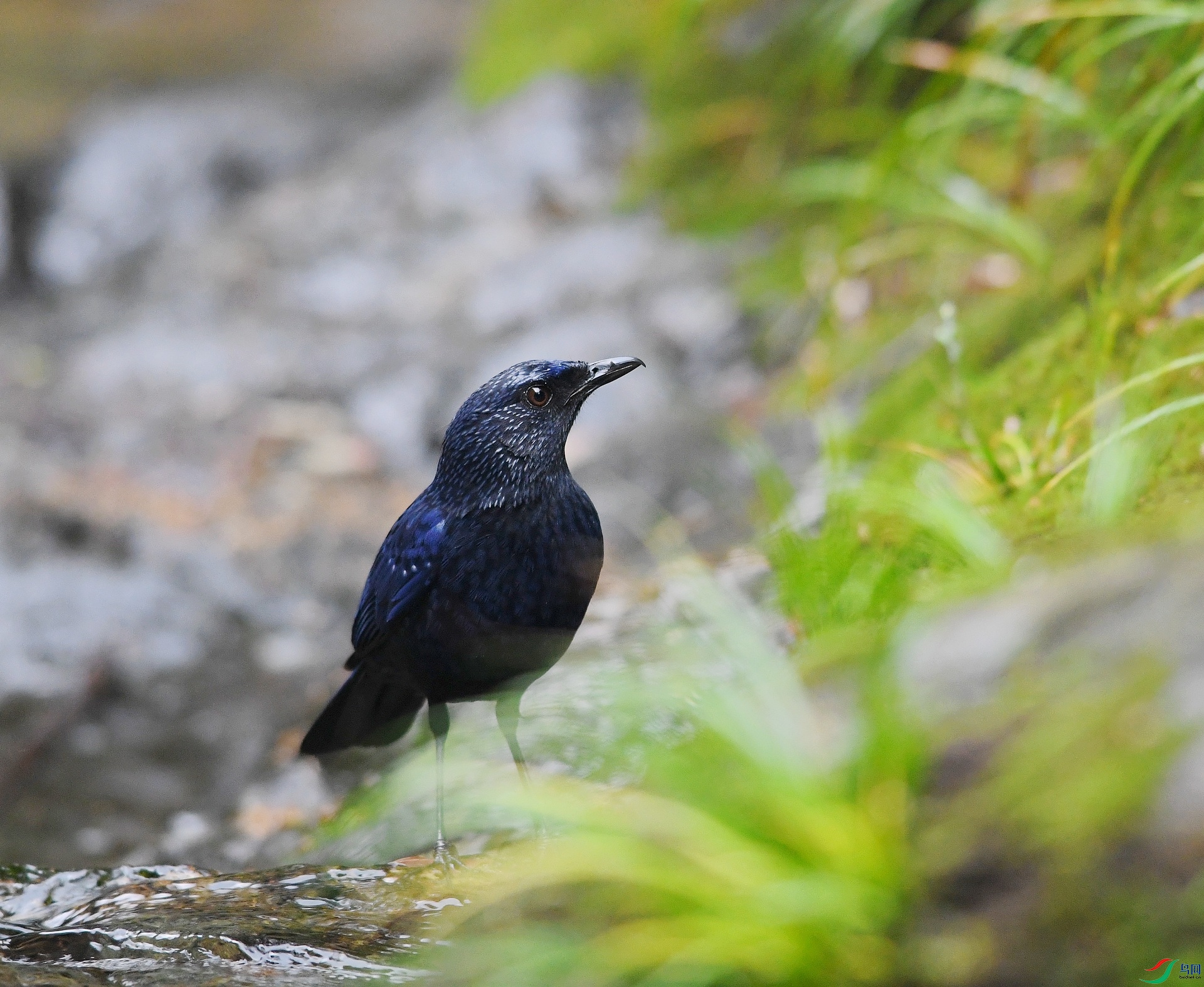 DSC_3093.jpg