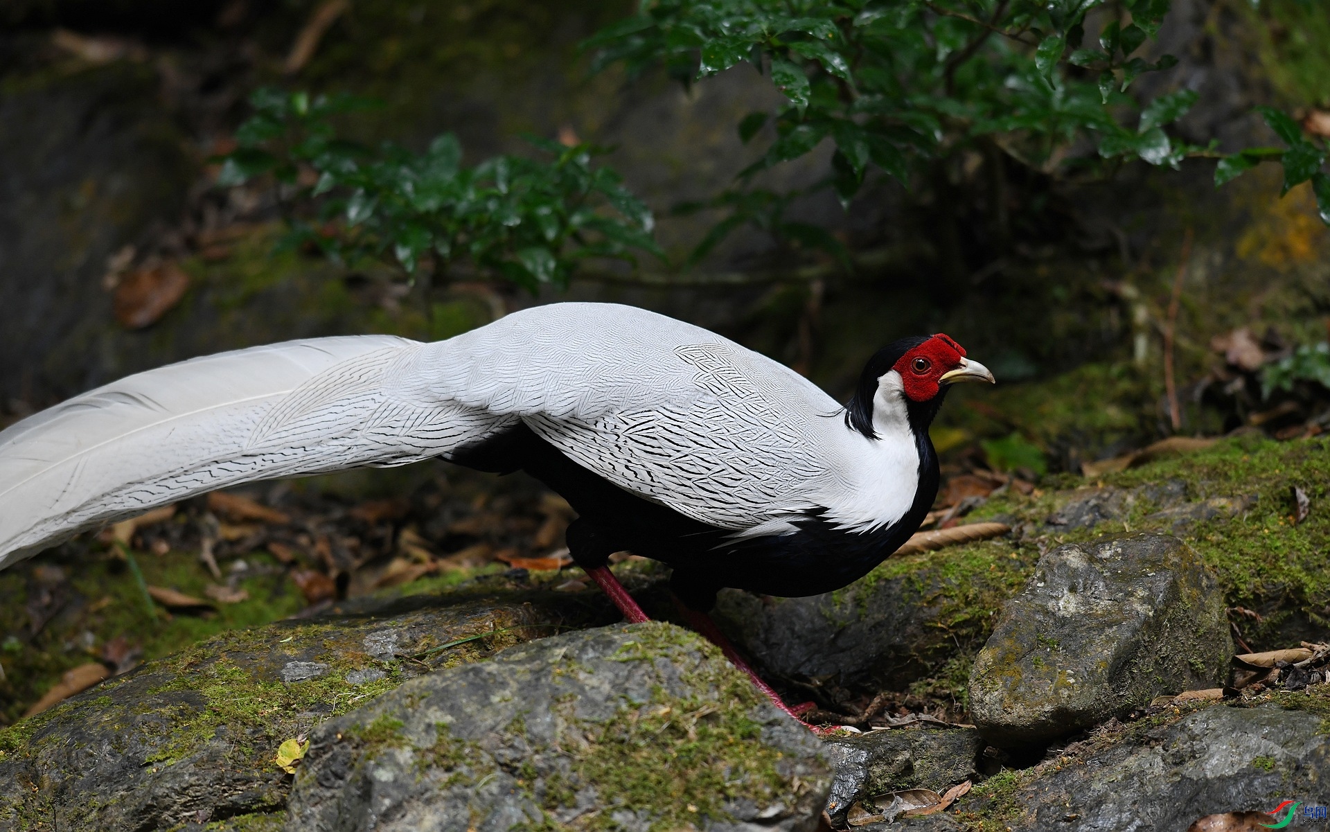 DSC_3124.jpg