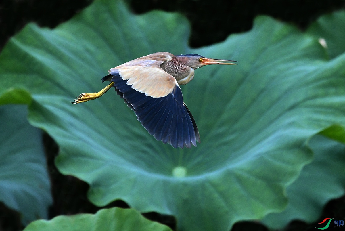 DSC_5726.JPG