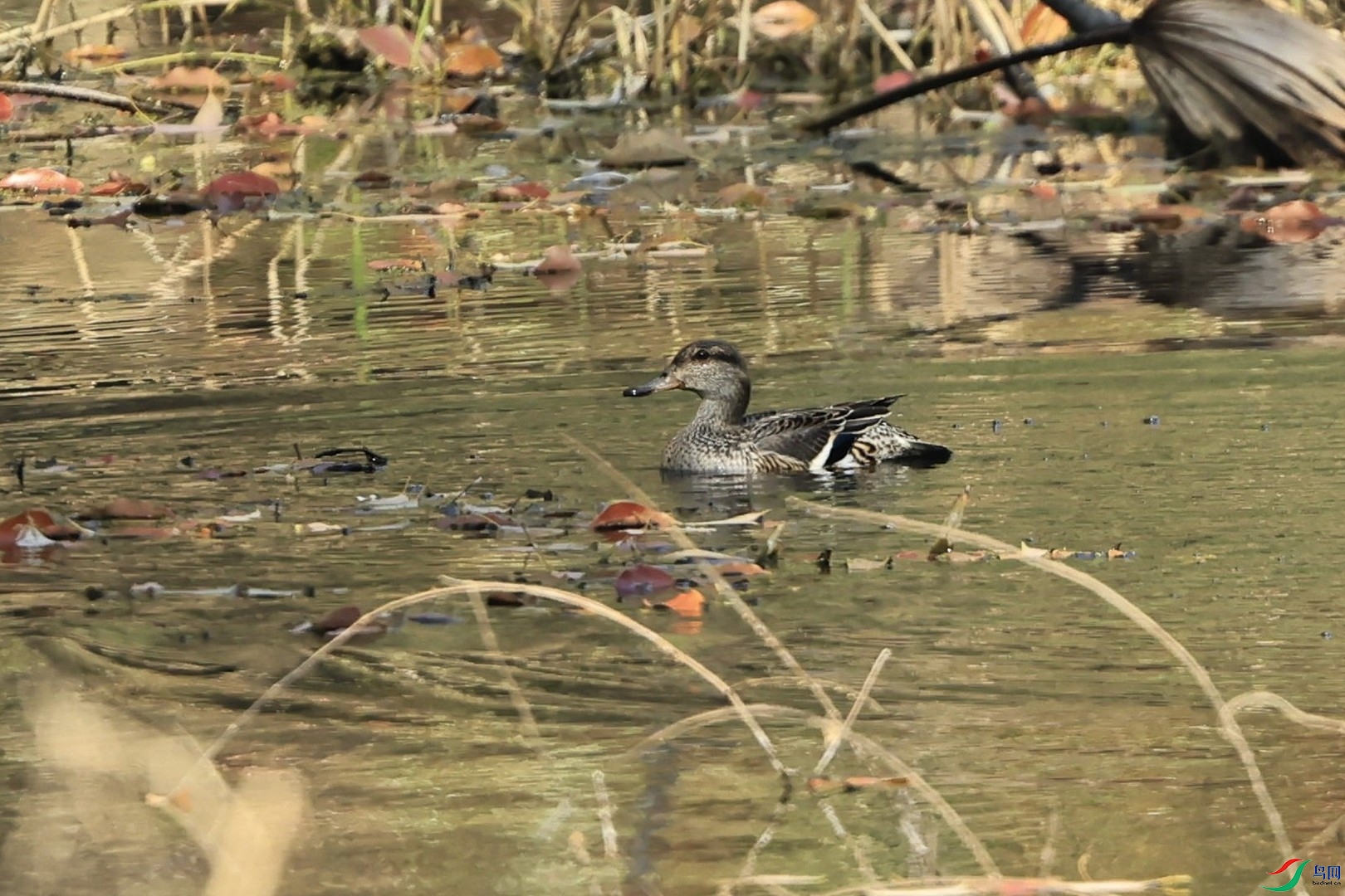 ʲôѼ  _98A9145.jpg