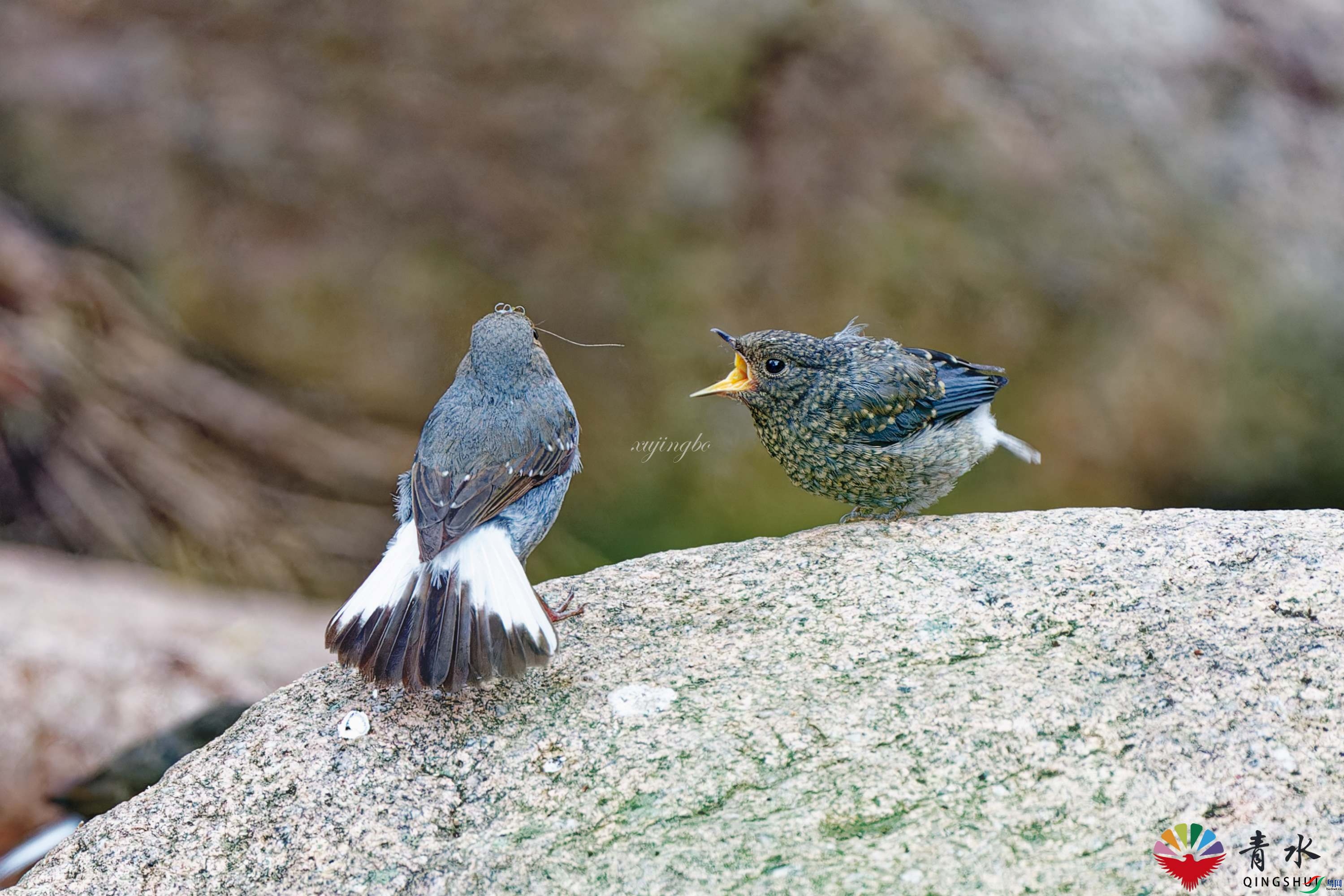 DSC02770_DxO.jpg