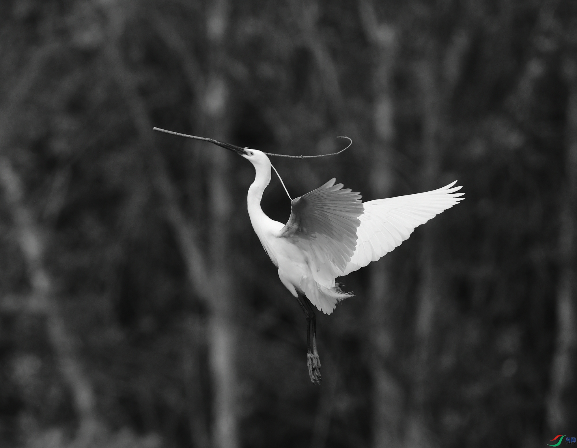 _DSC2287_01_01.JPG