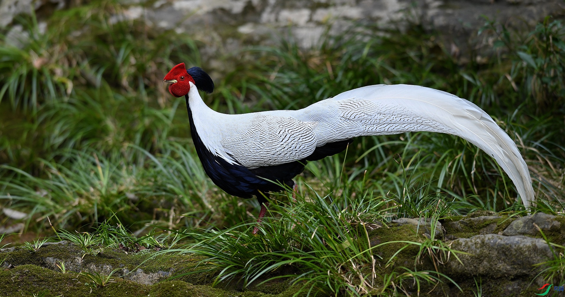 DSC_6226.jpg