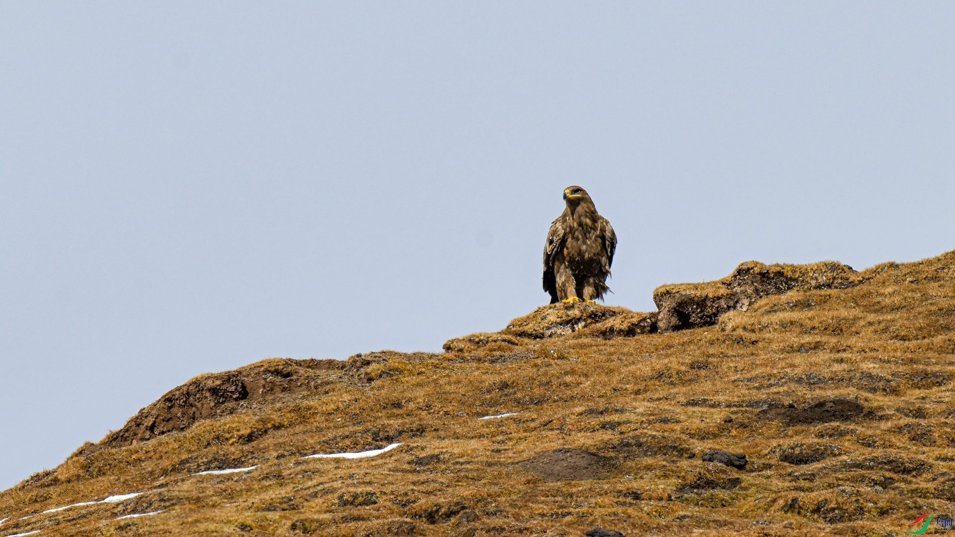 _DSC3557 ����_����.jpg