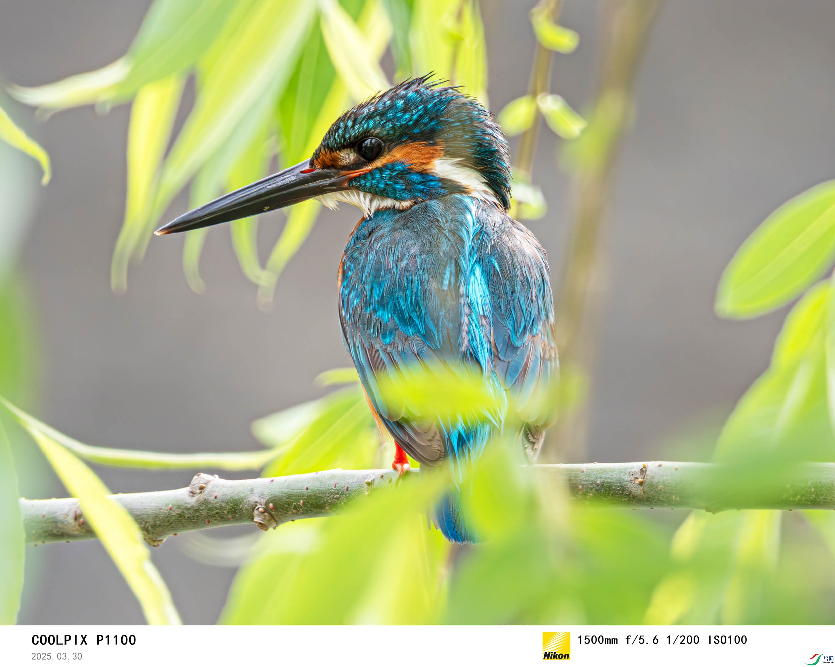 20250330-0001 ����.jpg